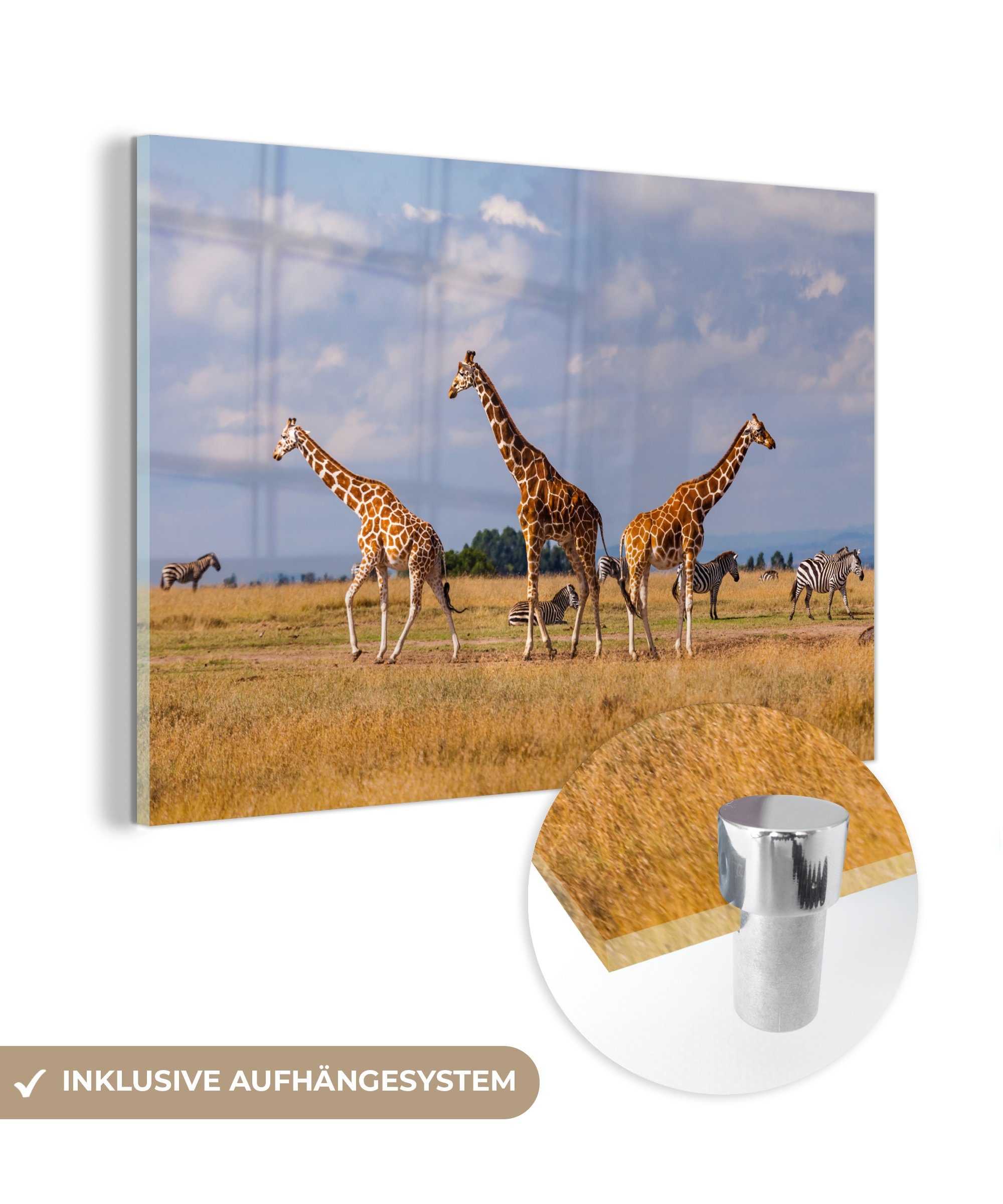 MuchoWow Acrylglasbild Giraffen in Kenia, (1 St), Acrylglasbilder Wohnzimmer & Schlafzimmer