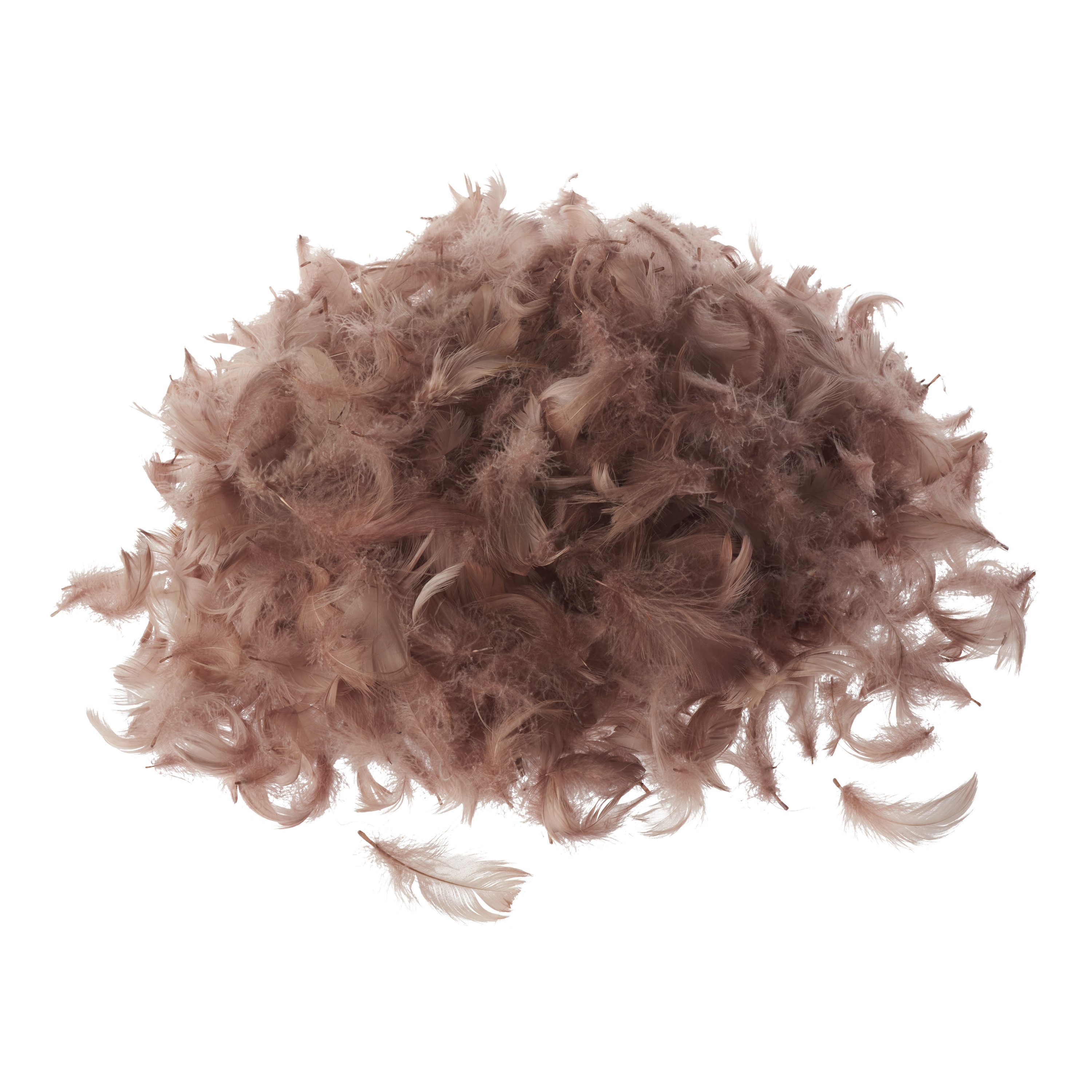 Bastelfedern Gänsefedern, 20 g
