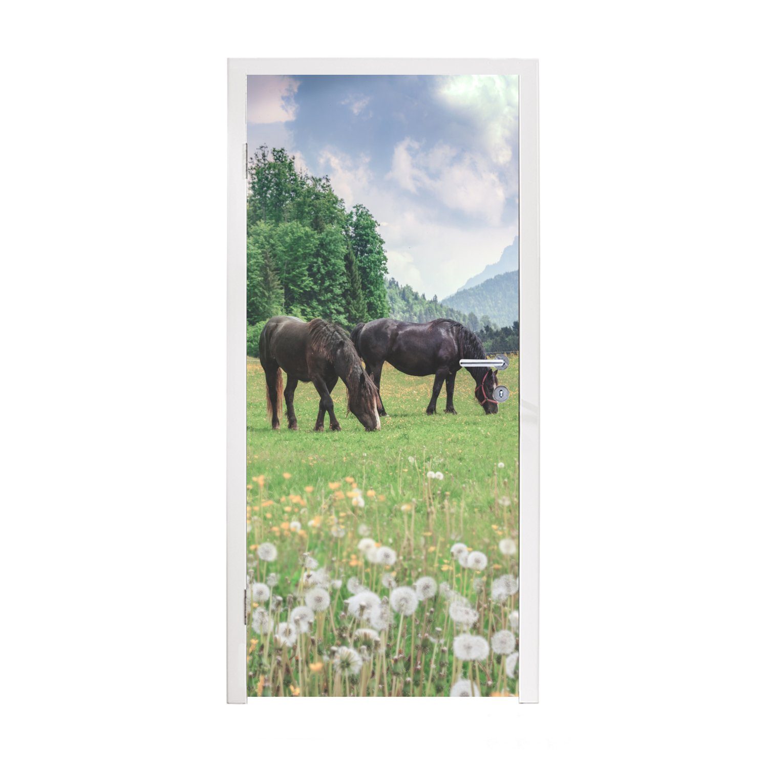 - Türaufkleber, 75x205 für (1 Pferde - MuchoWow St), cm Berge, Tür, Blumen bedruckt, Matt, Fototapete Türtapete