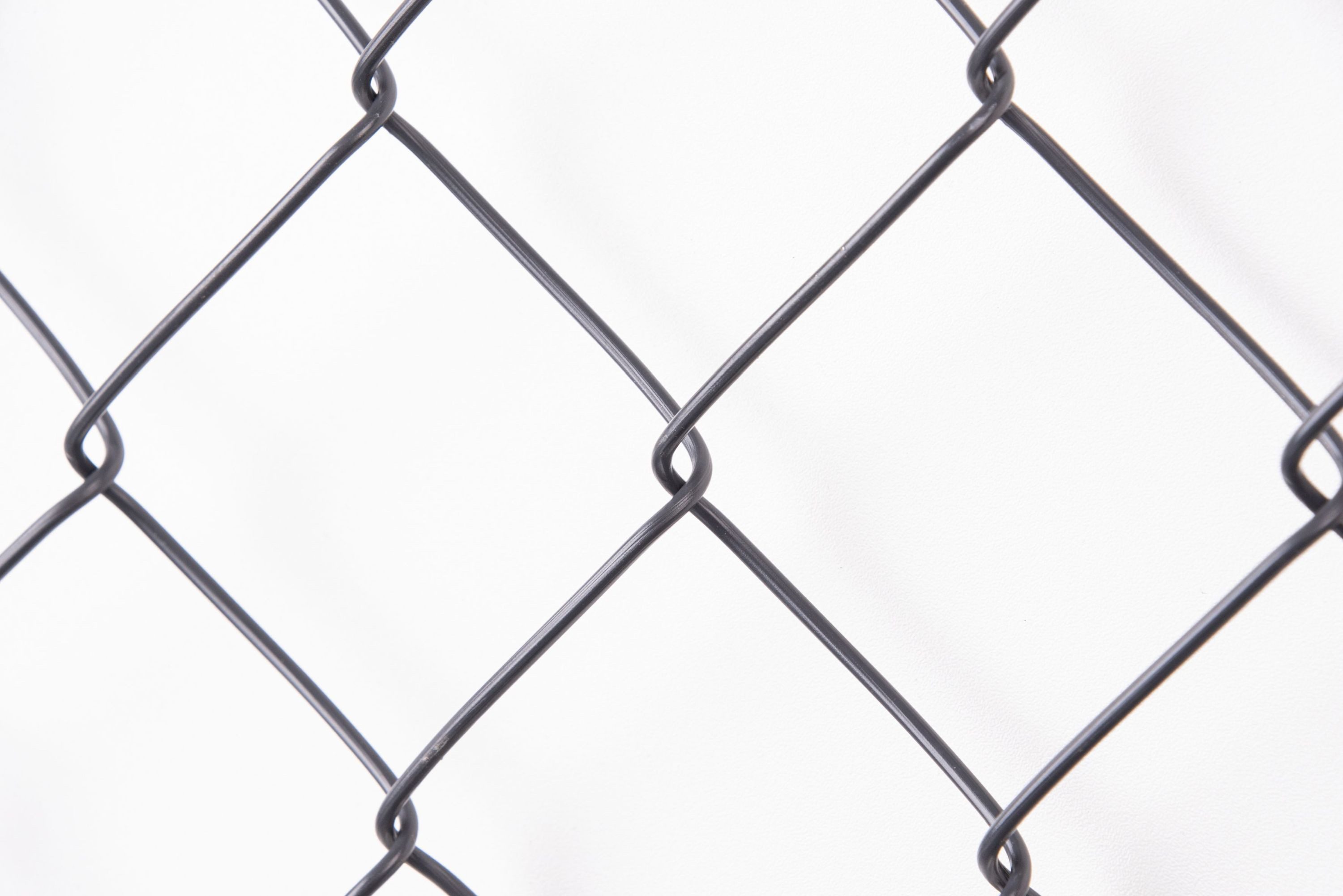 Alberts Zaun Alberts 604677 Maschendraht-Geflecht, anthrazit, Höhe 80 cm, Länge 25, Maschendrahtzaun Viereckgeflecht Maschendrahtgeflecht Drahtzaun grün