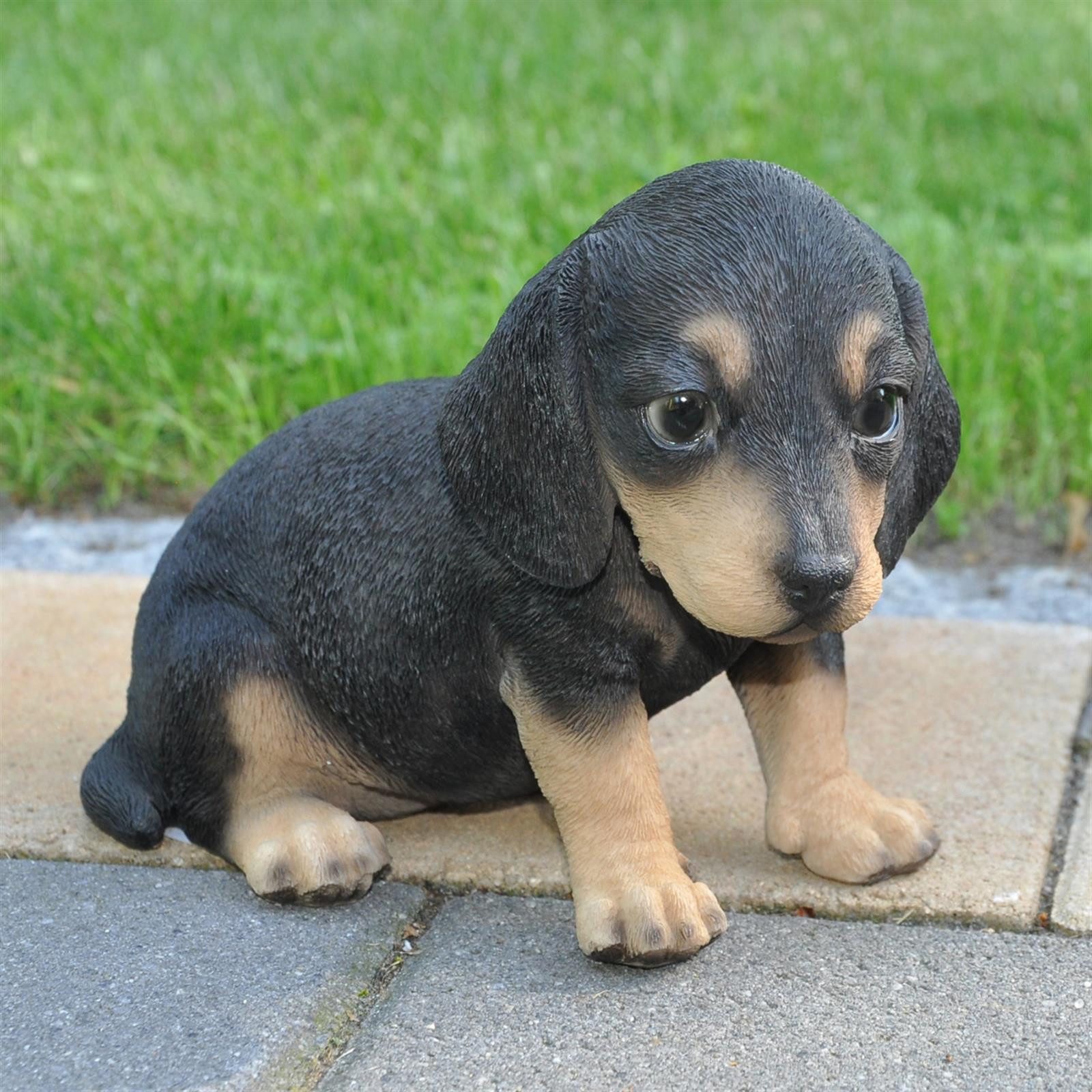 dazikemo Gartenfigur Dekofigur Gartenfigur Dackel schwarz braun