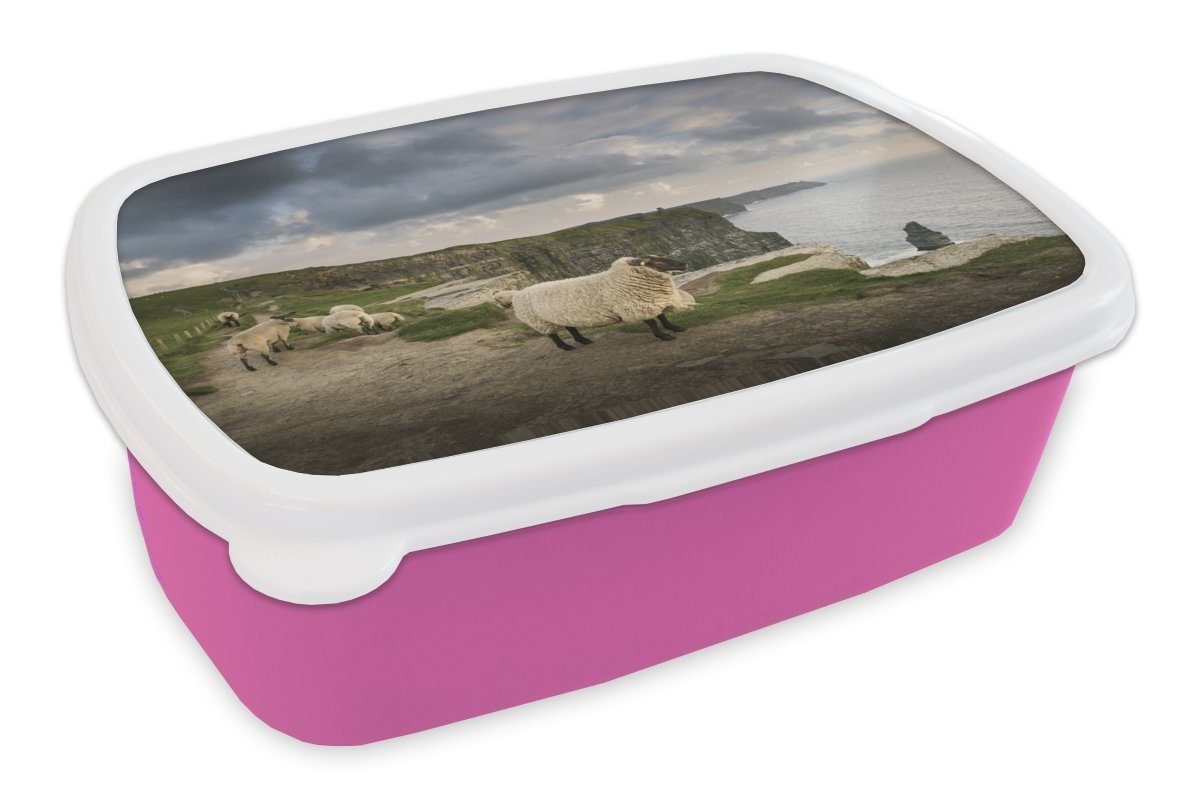MuchoWow Lunchbox Schafe in Irland, Kunststoff, (2-tlg), Brotbox für Erwachsene, Brotdose Kinder, Snackbox, Mädchen, Kunststoff rosa | Lunchboxen