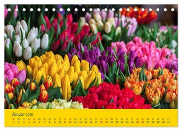 CALVENDO Wandkalender Tulpentraum (Tischkalender 2025 DIN A5 quer), CALVENDO Monatskalender