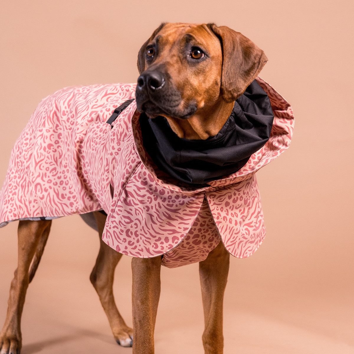 PAIKKA Hundemantel Hunde Winter-Jacke reflektierend "Visibility" Wool red mix