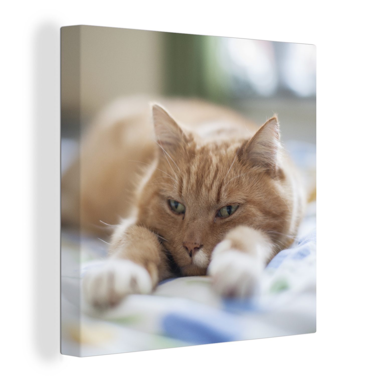 OneMillionCanvasses® Leinwandbild Katze - Bett - Tagesdecke - Mädchen - Kinder - Kinder - Kind, (1 St), Leinwand Bilder für Wohnzimmer Schlafzimmer bunt