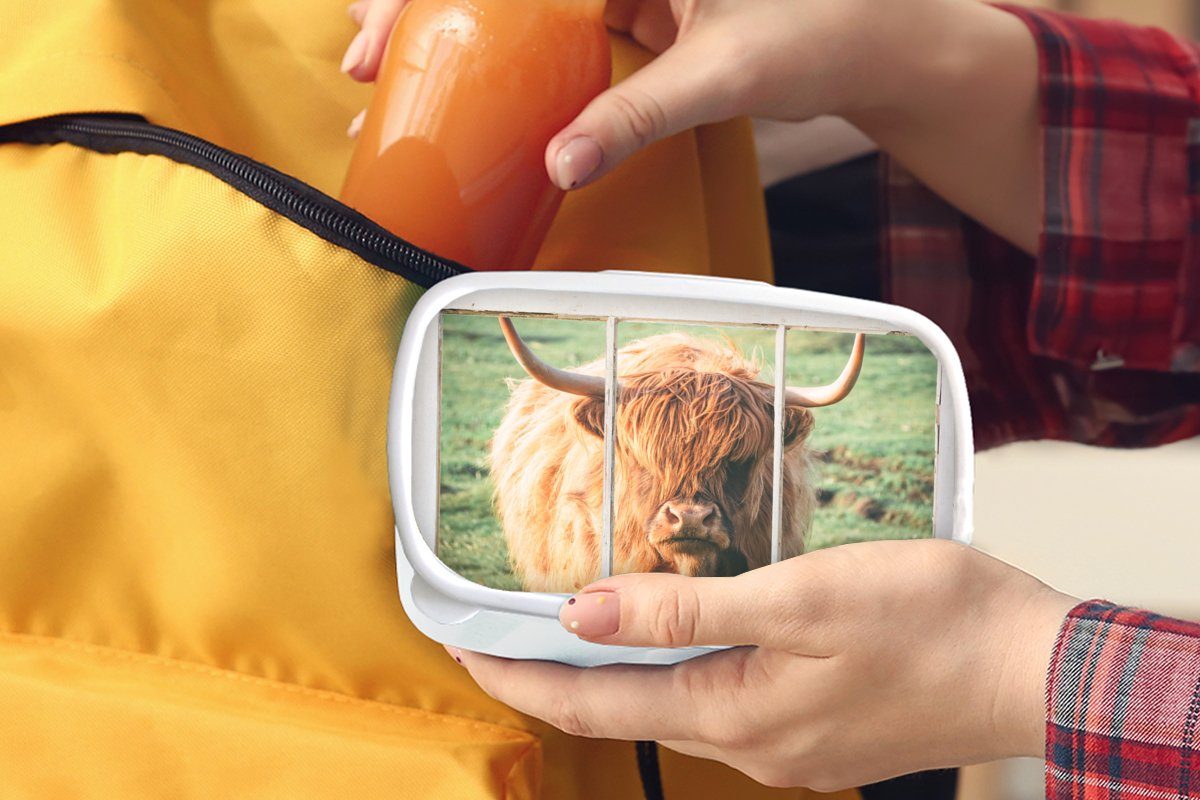 (2-tlg), Lunchbox für Ansicht, weiß Schottische Natur für Kunststoff, Highlander - Jungs Brotbox und Brotdose, MuchoWow Erwachsene, und - Mädchen Kinder