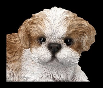 Figuren Shop GmbH Dekofigur Shih Tzu Welpen Figur liegend - Hunde Dekofigur Hundewelpen