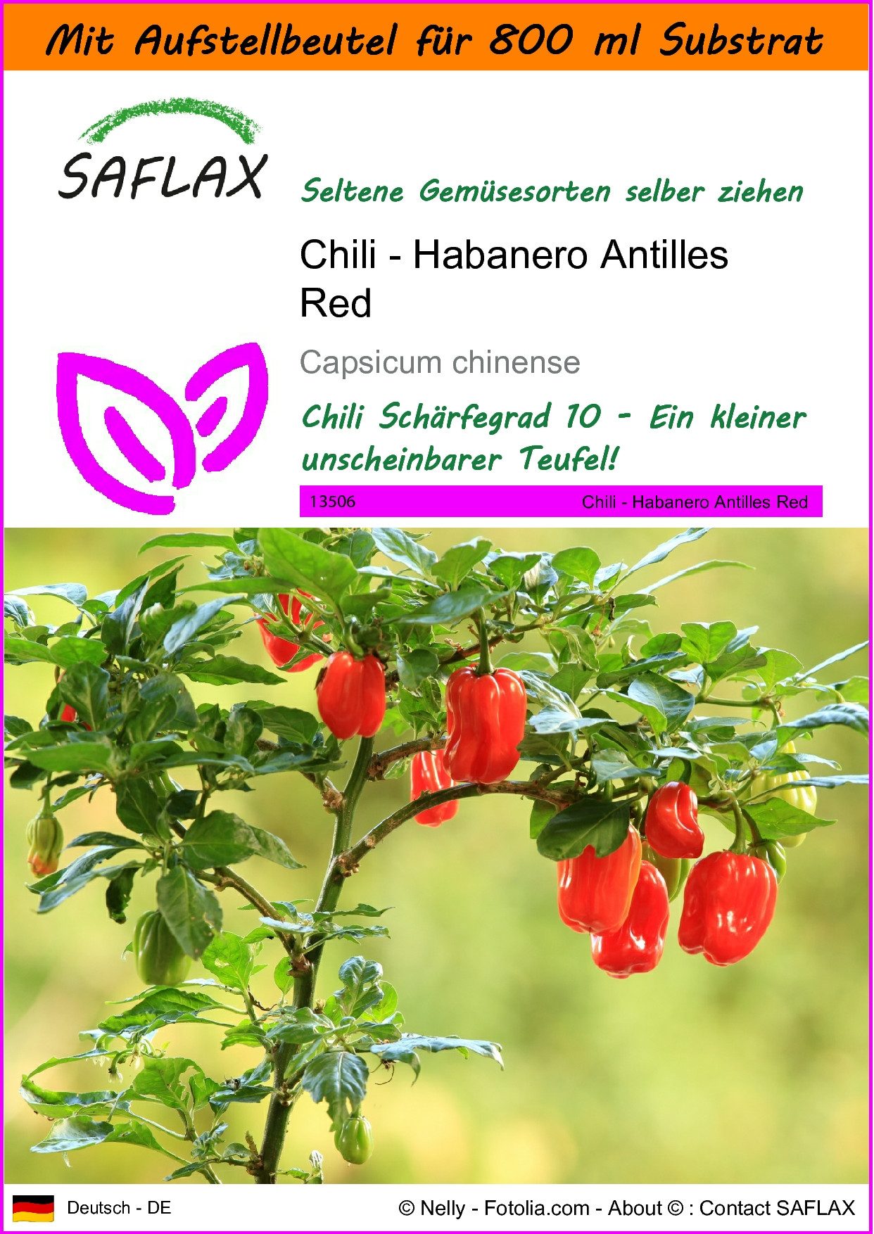 SAFLAX Gemüsesamen SAFLAX - Garden in the bag - Chili - Habanero Antilles Red