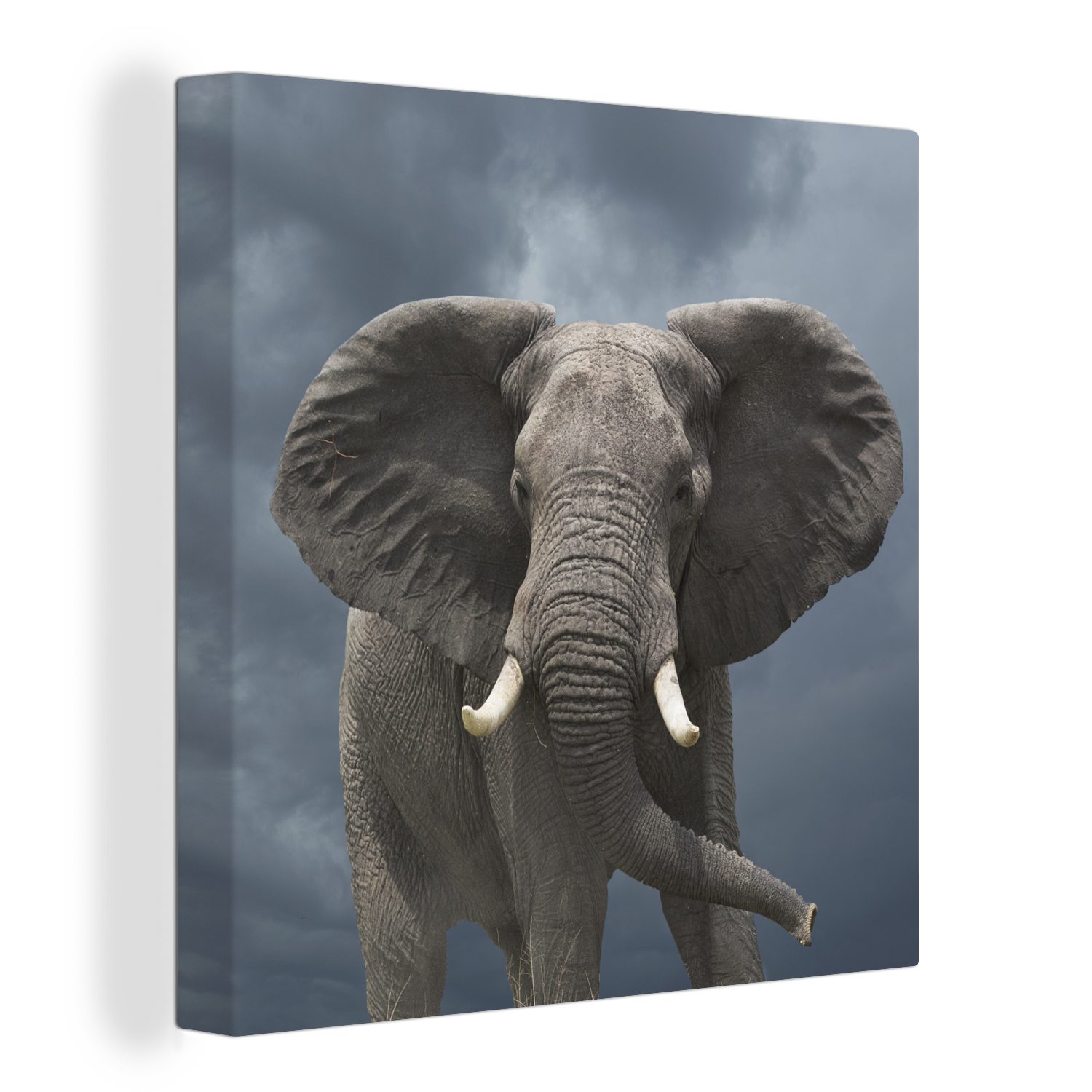 MuchoWow Leinwandbild »Laufender Elefant vor einem dunklen Himmel«, (1 St),  Leinwand Bilder Wandbilder Wohnzimmer Dekoration
