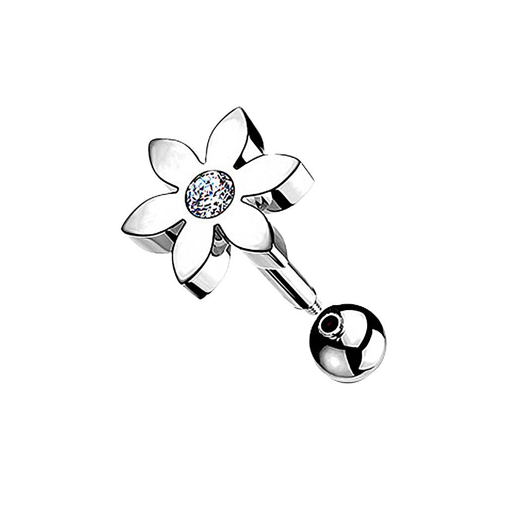 Taffstyle Piercing-Set Ohrpiercing Tragus Helix Cartilage Piercing Stecker günstig online kaufen