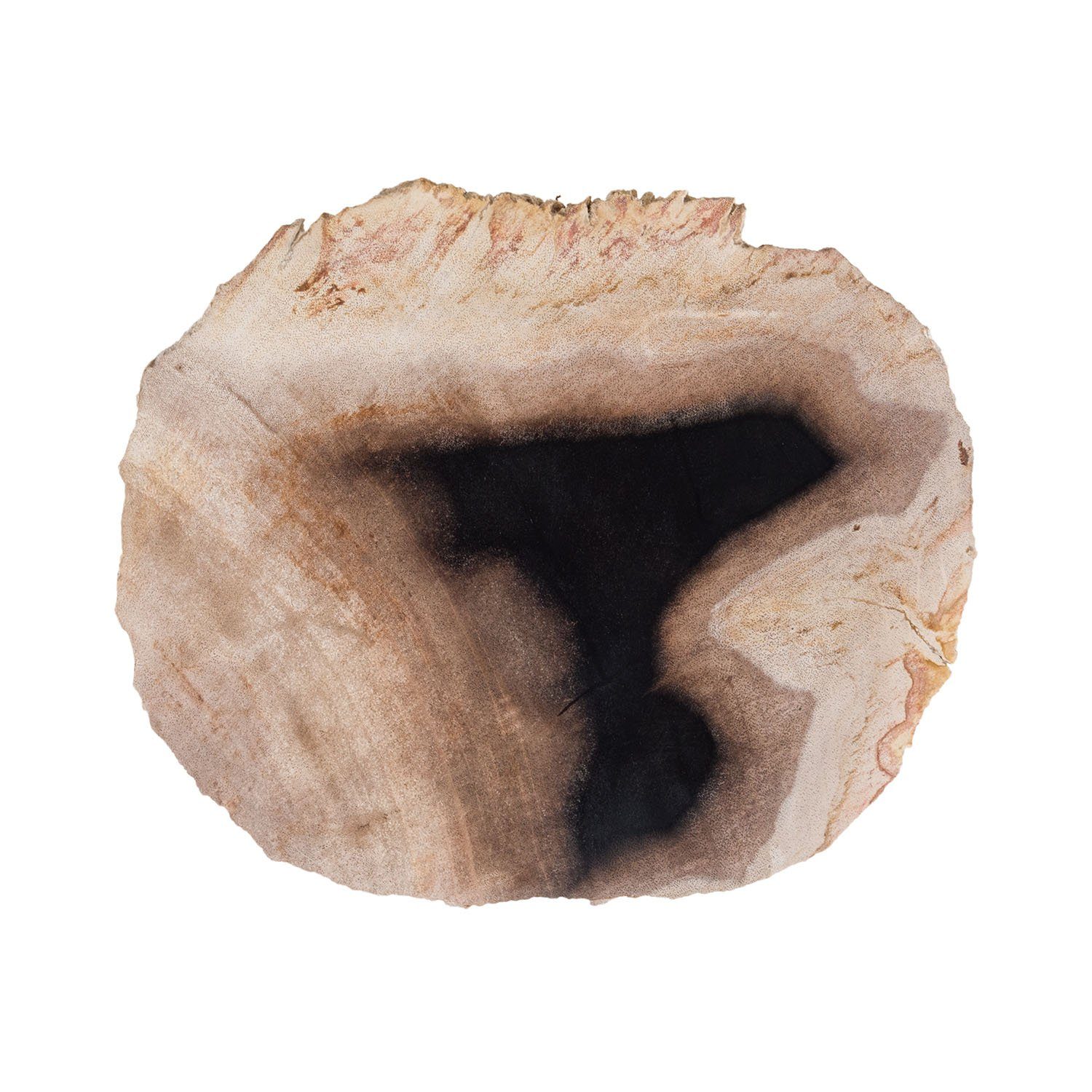 Holz Seifenschale 28603 Schale 20x18x2 wohnfreuden M, Gr. cm Dekoschale / fossiles