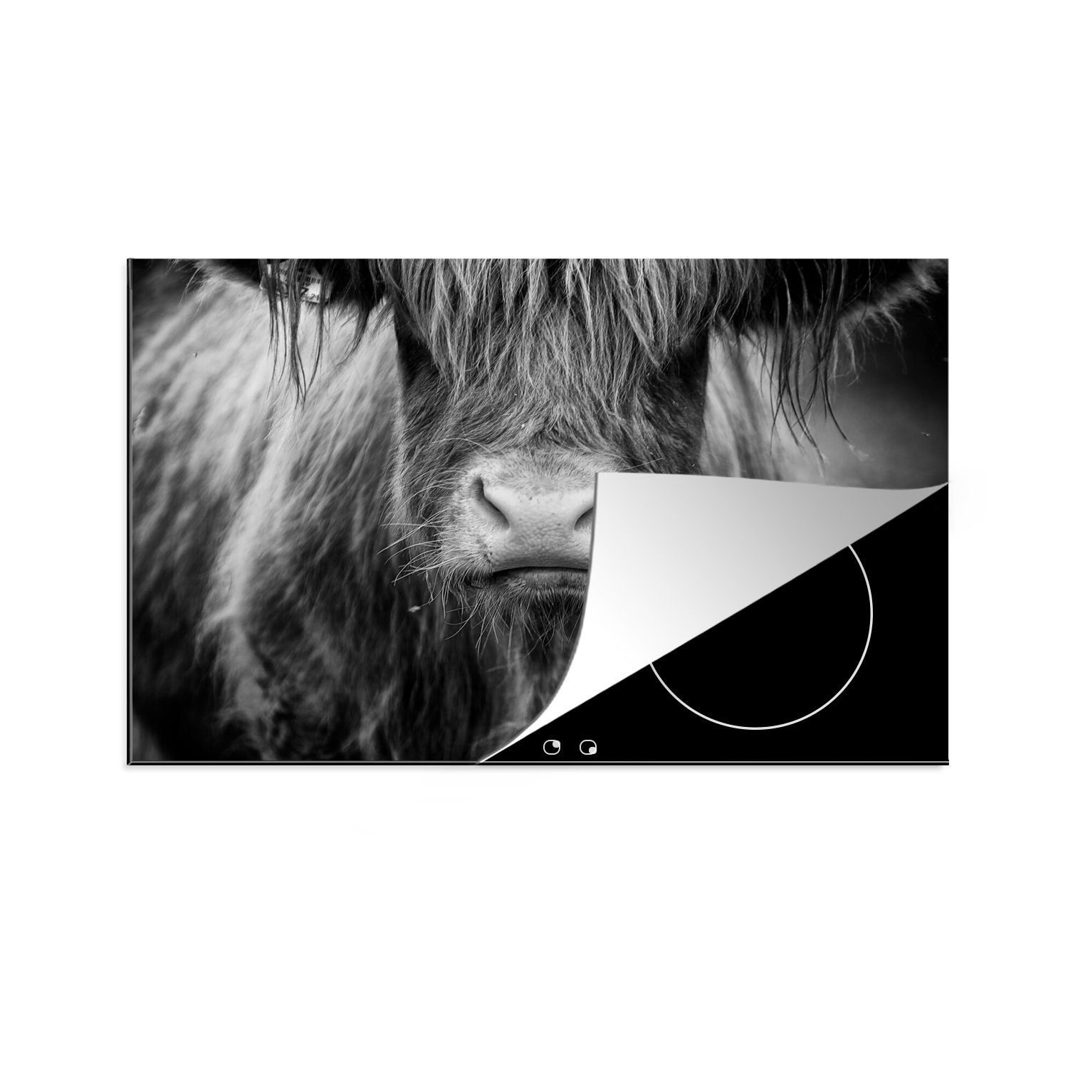 MuchoWow Herdblende-/Abdeckplatte Schottischer Highlander - Haare - Tiere, Vinyl, (1 tlg), 81x52 cm, Induktionskochfeld Schutz für die küche, Ceranfeldabdeckung