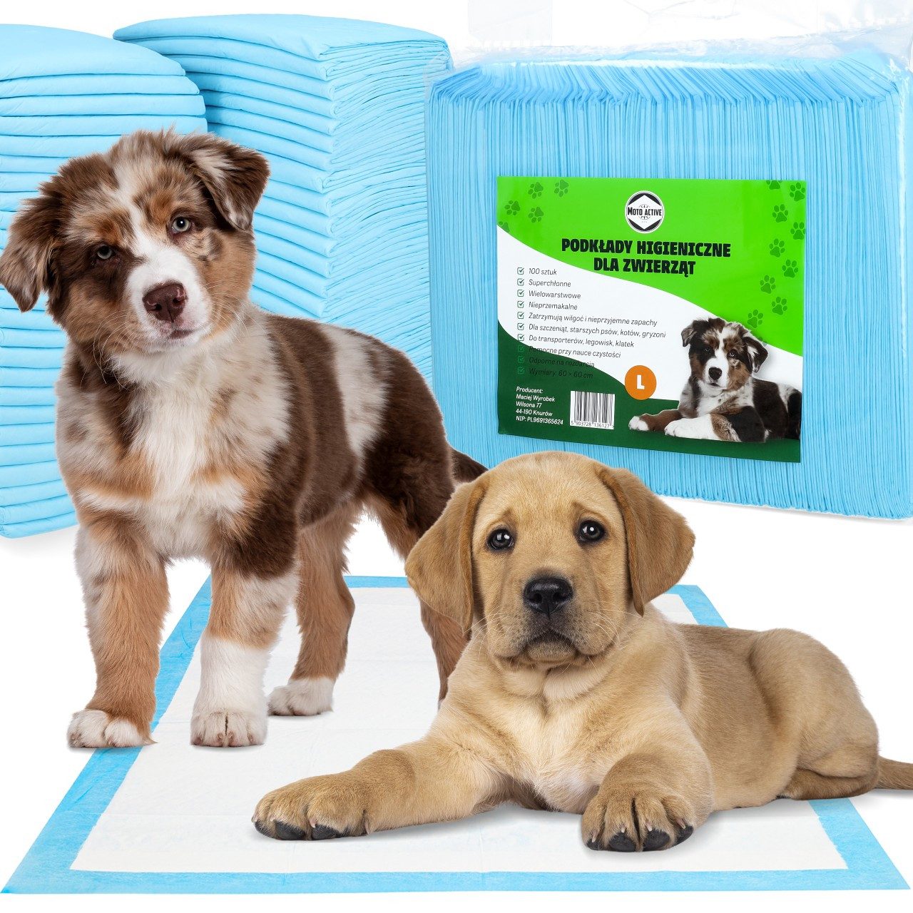 Moto Active Tierdecke Hundetoilette Welpenunterlage Trainingsunterlage Hundepads, Vliesstoff, Zellstoff, PE-Folie, Hygiene-Unterlage Hund Katze Saugfähig Auslaufsicher M L XL