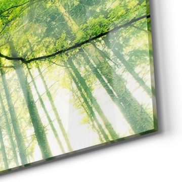 DEQORI Glasbild 'Eindrucksvoller Baum', 'Eindrucksvoller Baum', Glas Wandbild Bild schwebend modern