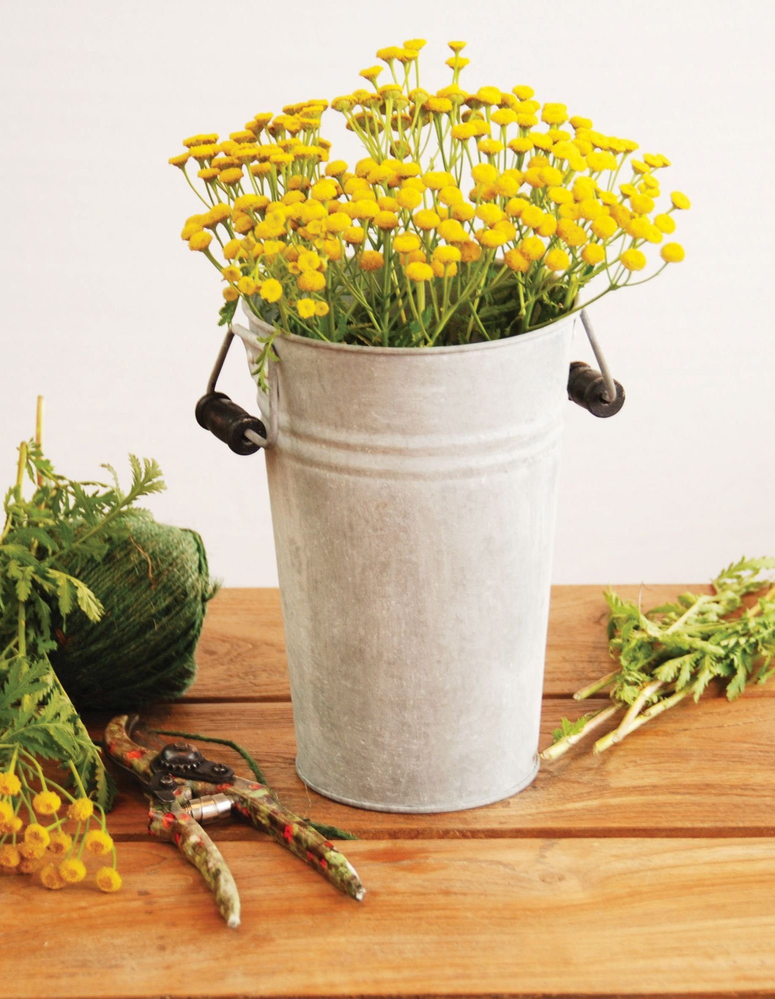 Esschert Design BV Blumentopf (1 Vase, S St), Übertopf Größe