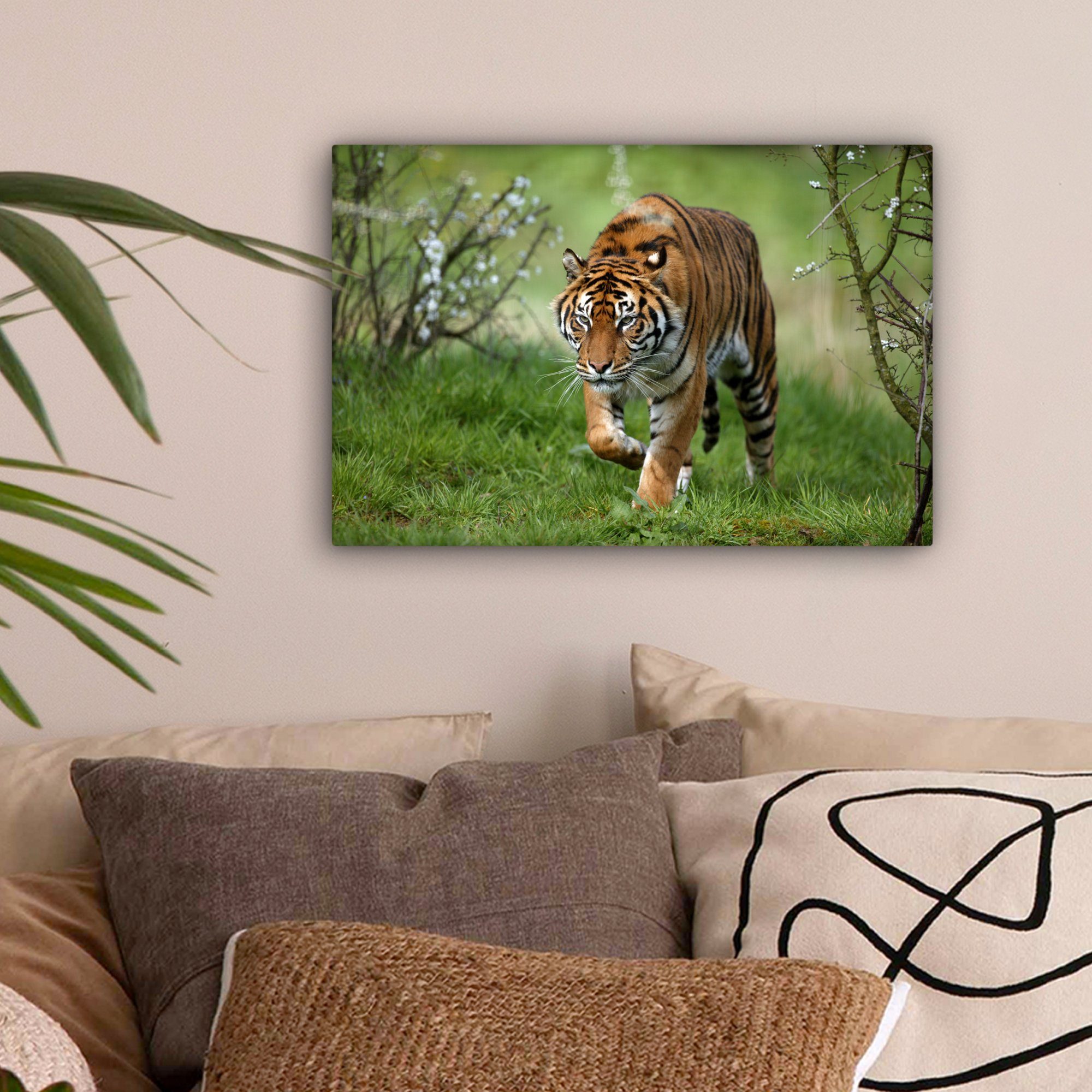 OneMillionCanvasses® Leinwandbild Wanddeko, Nahaufnahme St), Wandbild Aufhängefertig, Sumatra-Tigers, eines cm (1 30x20 Leinwandbilder