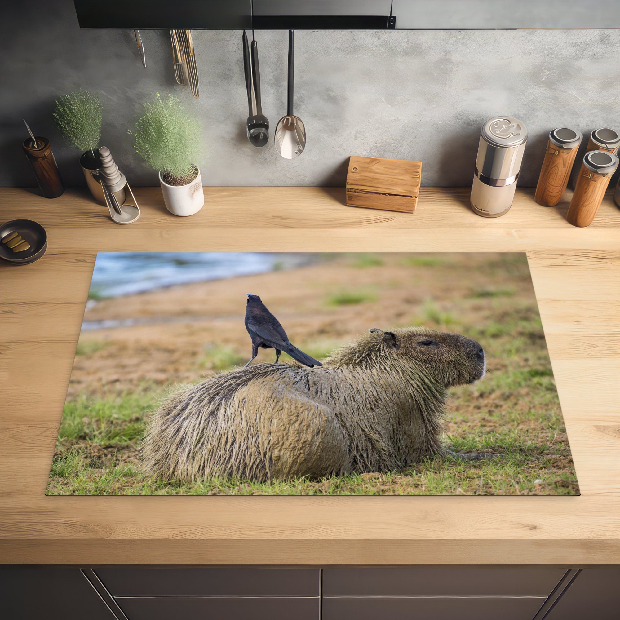 MuchoWow Herdblende-/Abdeckplatte Capybara mit Induktionskochfeld Vinyl, Vogel, die cm, für Ceranfeldabdeckung küche, Schutz (1 tlg), 81x52