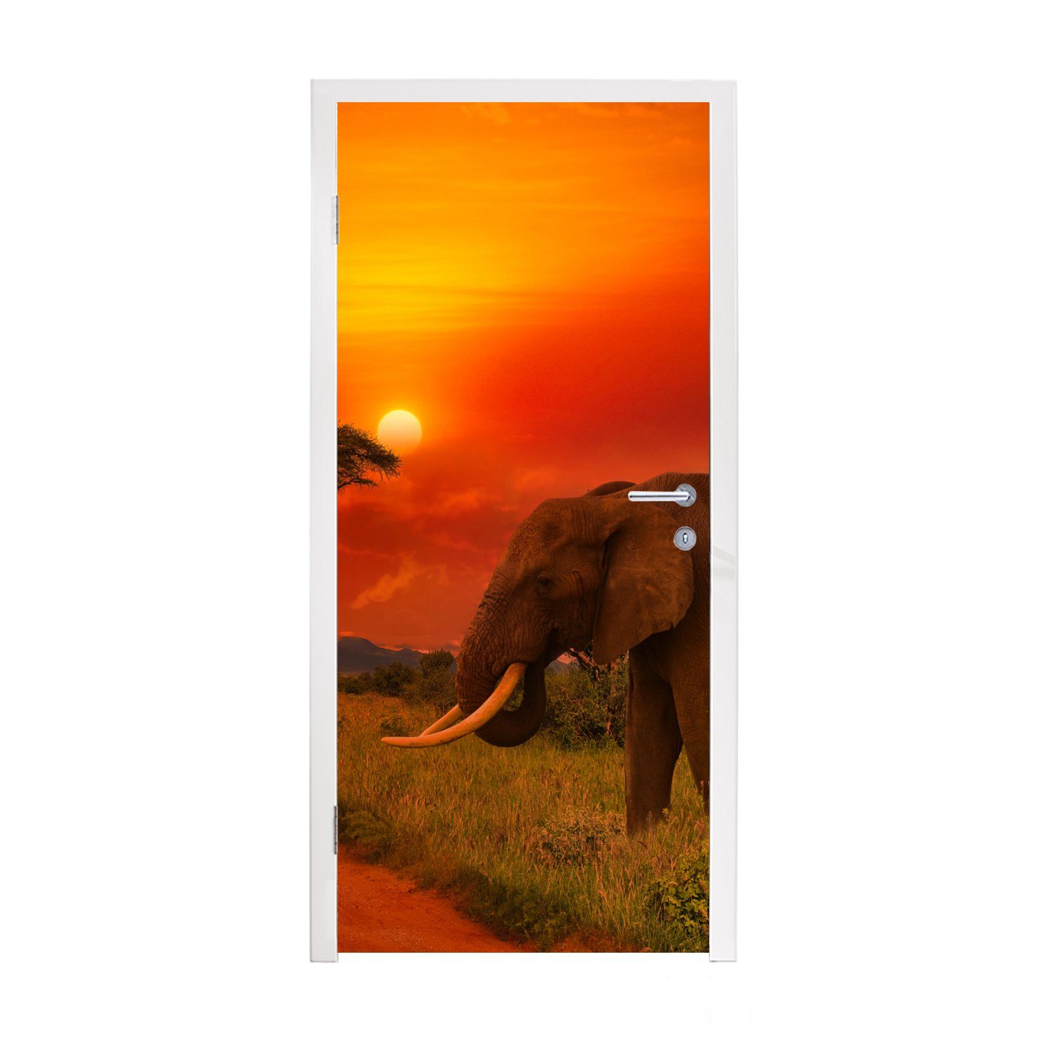 MuchoWow Türtapete Elefant - Sonnenuntergang - Orange - Savanne - Tiere, Matt, bedruckt, (1 St), Selbstklebende Tapete, Folie für Möbel, 75x205 cm