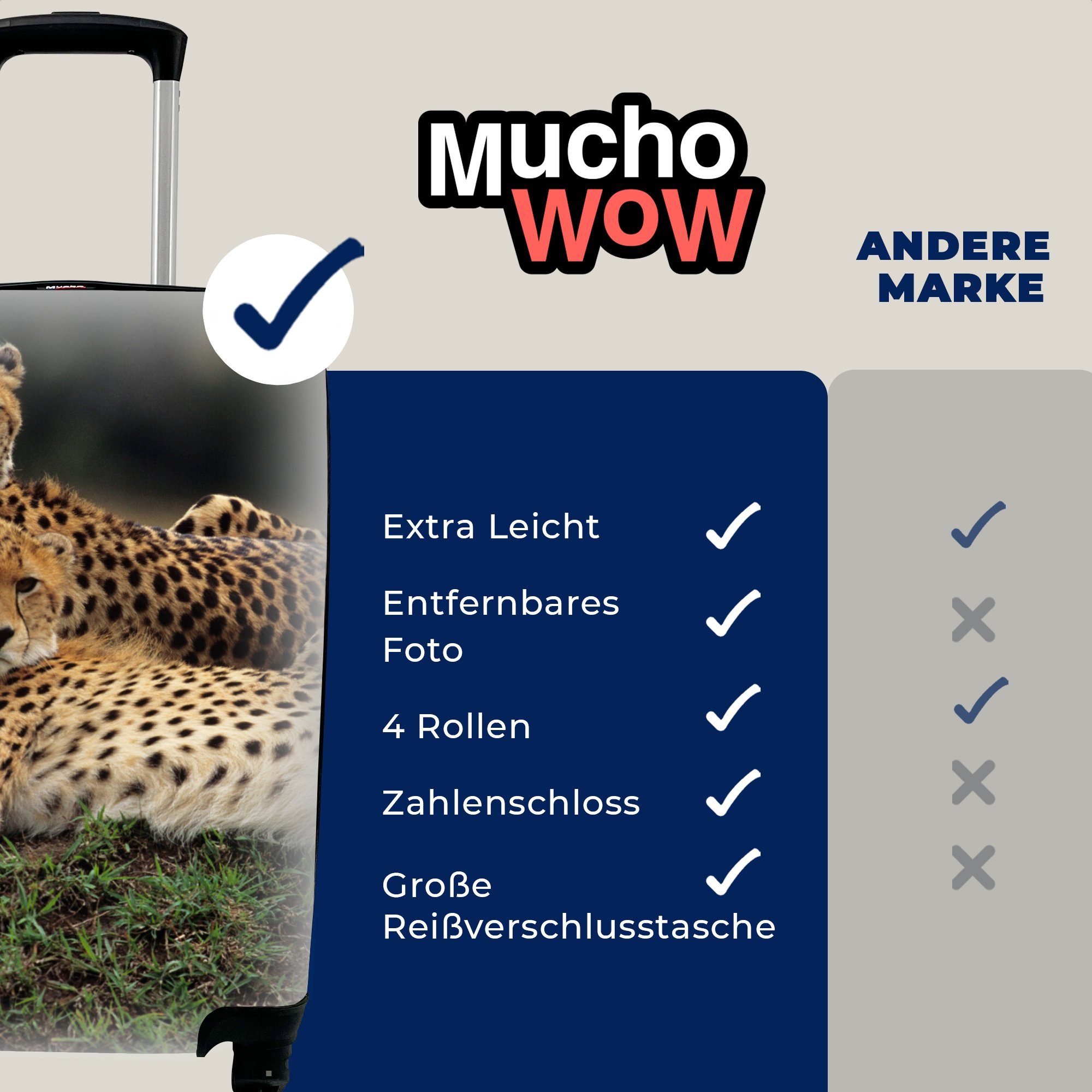 MuchoWow Handgepäckkoffer Drei Reisekoffer Ferien, mit 4 der Trolley, für Handgepäck Geparden in Rollen, rollen, Reisetasche Savanne