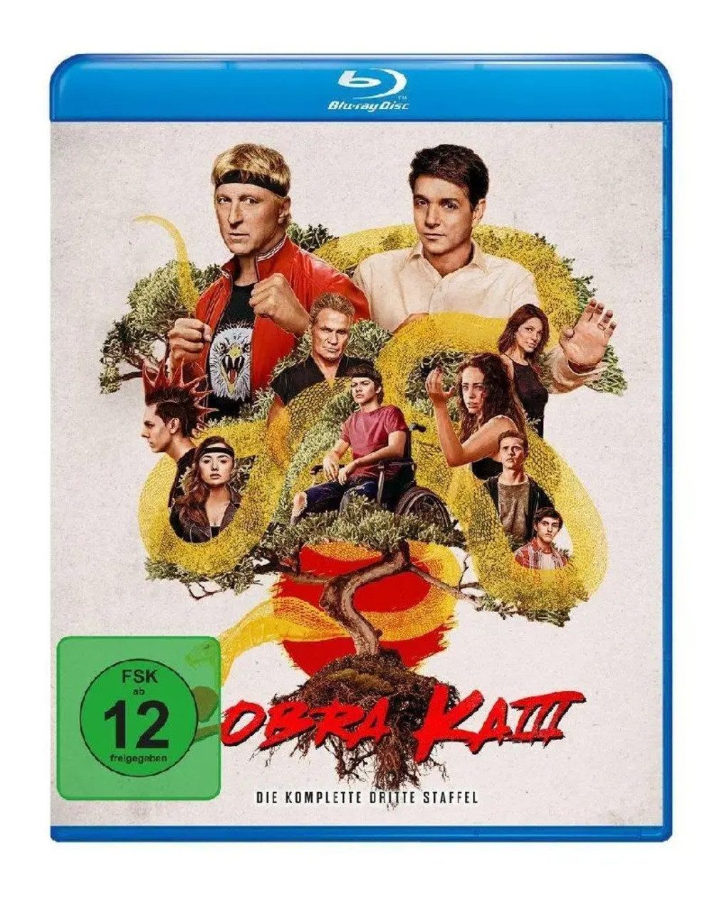 Blu-ray Cobra Kai. Season.3, 2 Blu-ray
