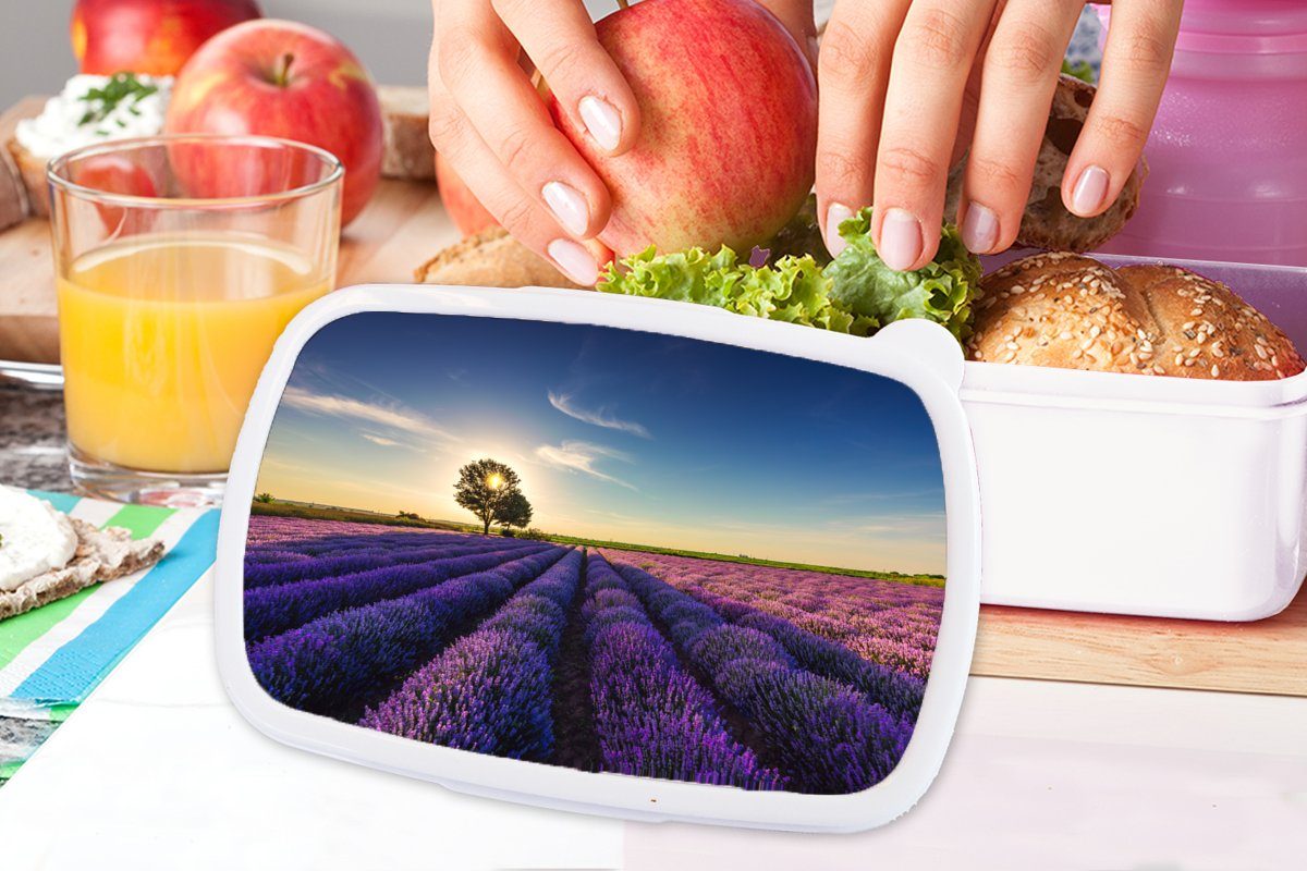 Lavendel Kinder (2-tlg), für weiß und Jungs - - Lunchbox Kunststoff, Brotdose, MuchoWow für Baum Lila, Blumen Mädchen und Erwachsene, Brotbox Sonne - -