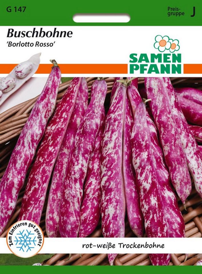 SAMEN PFANN Gemüsesamen Buschbohne, Borlotto Rosso, Trockenbohne Bohnen-Samen Saatgut Samen, Phaseolus vulgaris