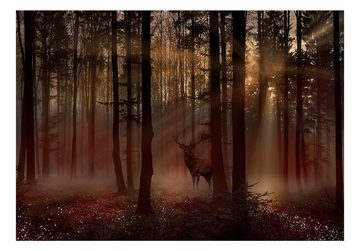KUNSTLOFT Vliestapete Mystical Forest - First Variant 1x0.7 m, halb-matt, lichtbeständige Design Tapete