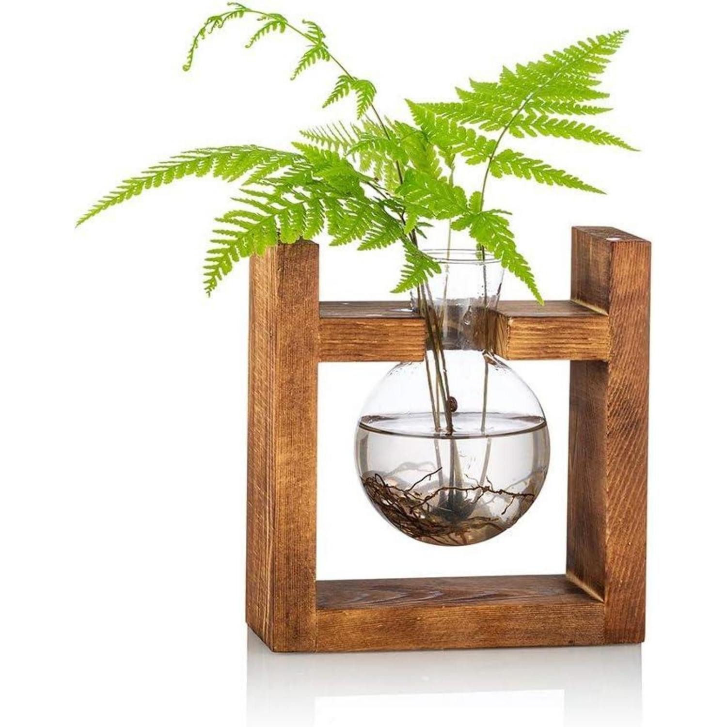 LuxusKollektion Tischvase Avocado Glas Vase Holzregal Terrarium Pflanzgefäß Grünpflanzen