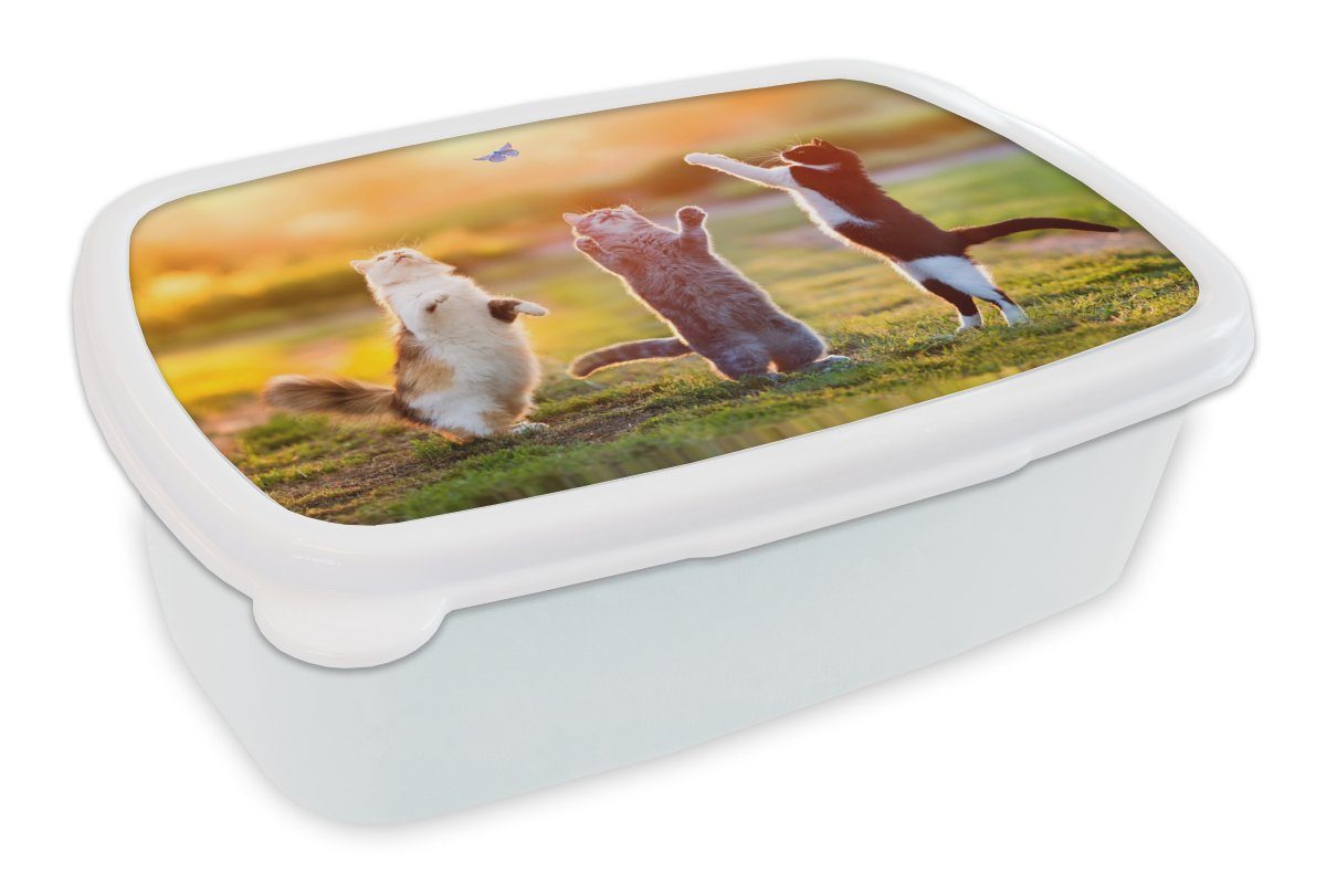 MuchoWow Lunchbox Katzen - Schmetterling - Sonnenuntergang - Gras - Natur, Kunststoff, (2-tlg), Brotbox für Kinder und Erwachsene, Brotdose, für Jungs und Mädchen weiß