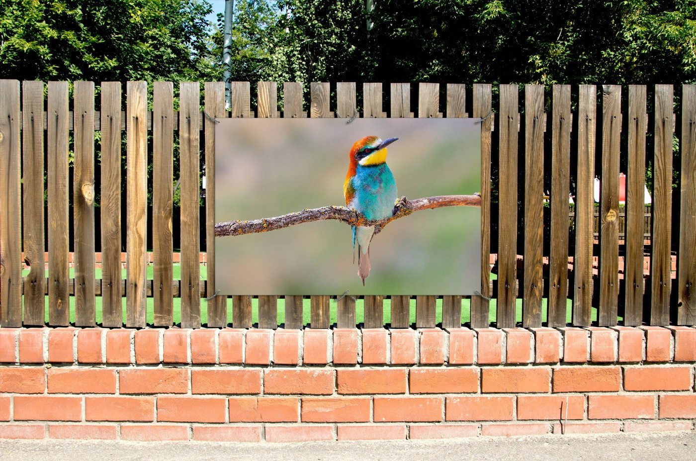 Wallario Sichtschutzzaunmatten Vogel auf Ast