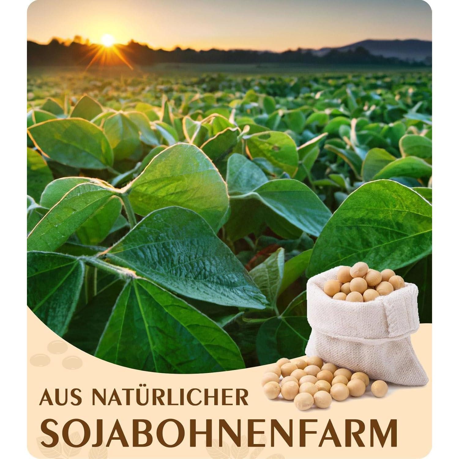 LuxusKollektion Formkerze Sojawachs Kerzen Gießen Schmelzpunkt 55 70C Zusatzfrei 10KG