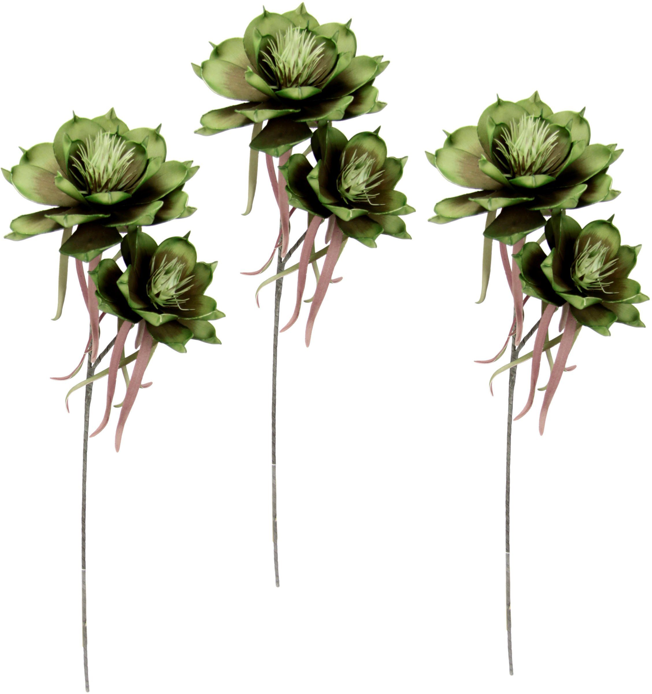 Kunstblume Soft-Magnolie, I.GE.A., Höhe 84 cm, 3er Set günstig online kaufen