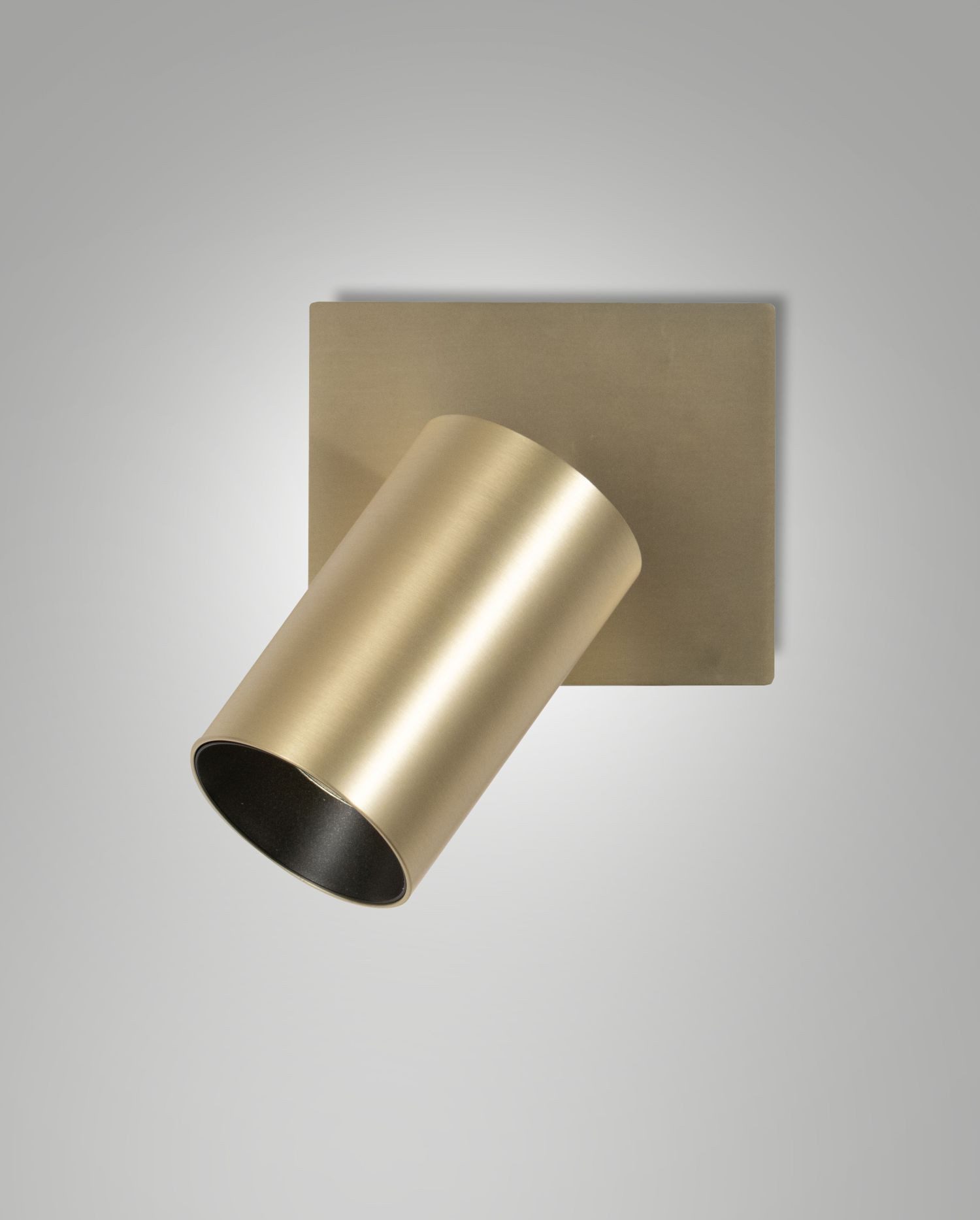 Licht-Erlebnisse Wandstrahler FOBUR, ohne Leuchtmittel, Aluminium verstellbar in Messing satiniert GU10 Modern