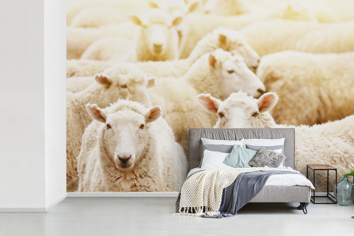 Schlafzimmer, Vinyl Wallpaper Matt, - Tapete Wolle (6 bedruckt, St), Wohnzimmer, Weiß, MuchoWow für Schafe Kinderzimmer, - Fototapete