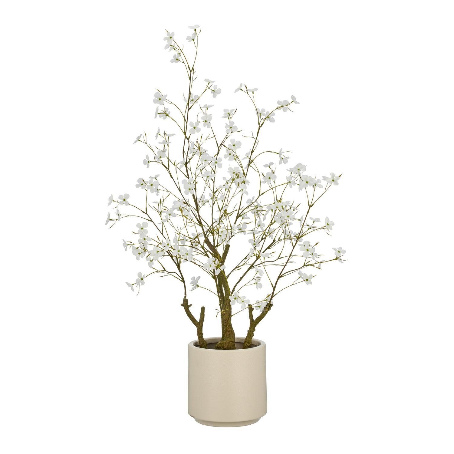 Kunstpflanze CONNY, Braun, Weiß, Kunststoff, mit Kunststofftopf Cornusstrauch, Gasper, Höhe 18 cm