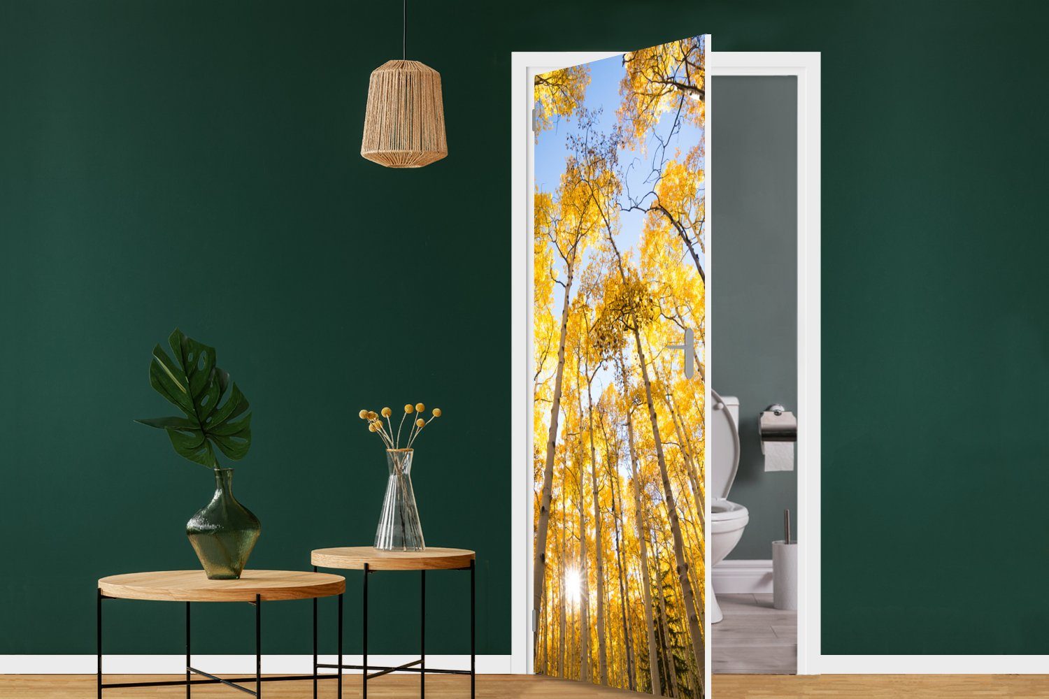 St), - Türtapete Matt, Herbst cm Fototapete Bäume bedruckt, für Wald, Tür, - Türaufkleber, MuchoWow (1 75x205