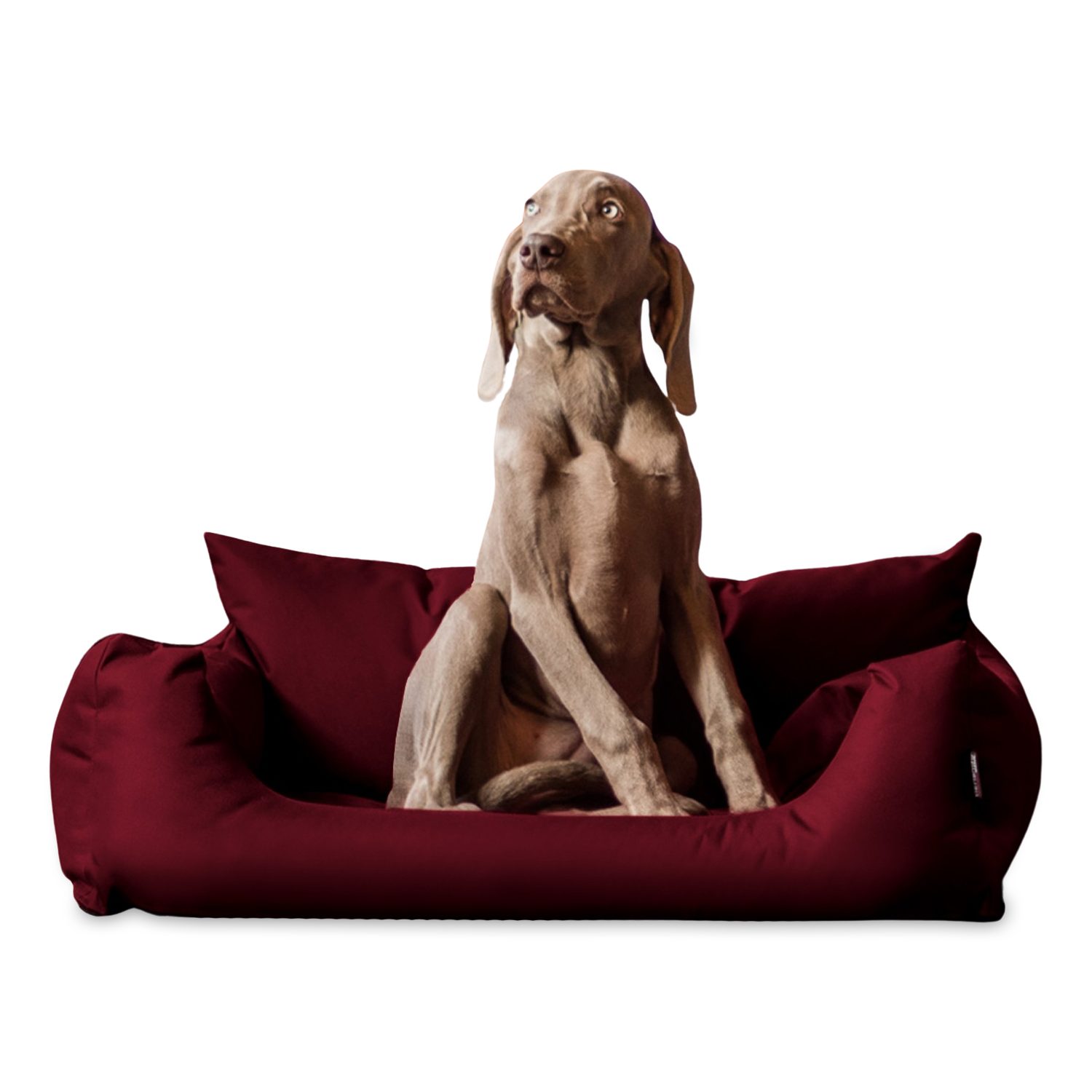tierlando® Tierbett NEMO Hundebett Hundesofa S günstig online kaufen