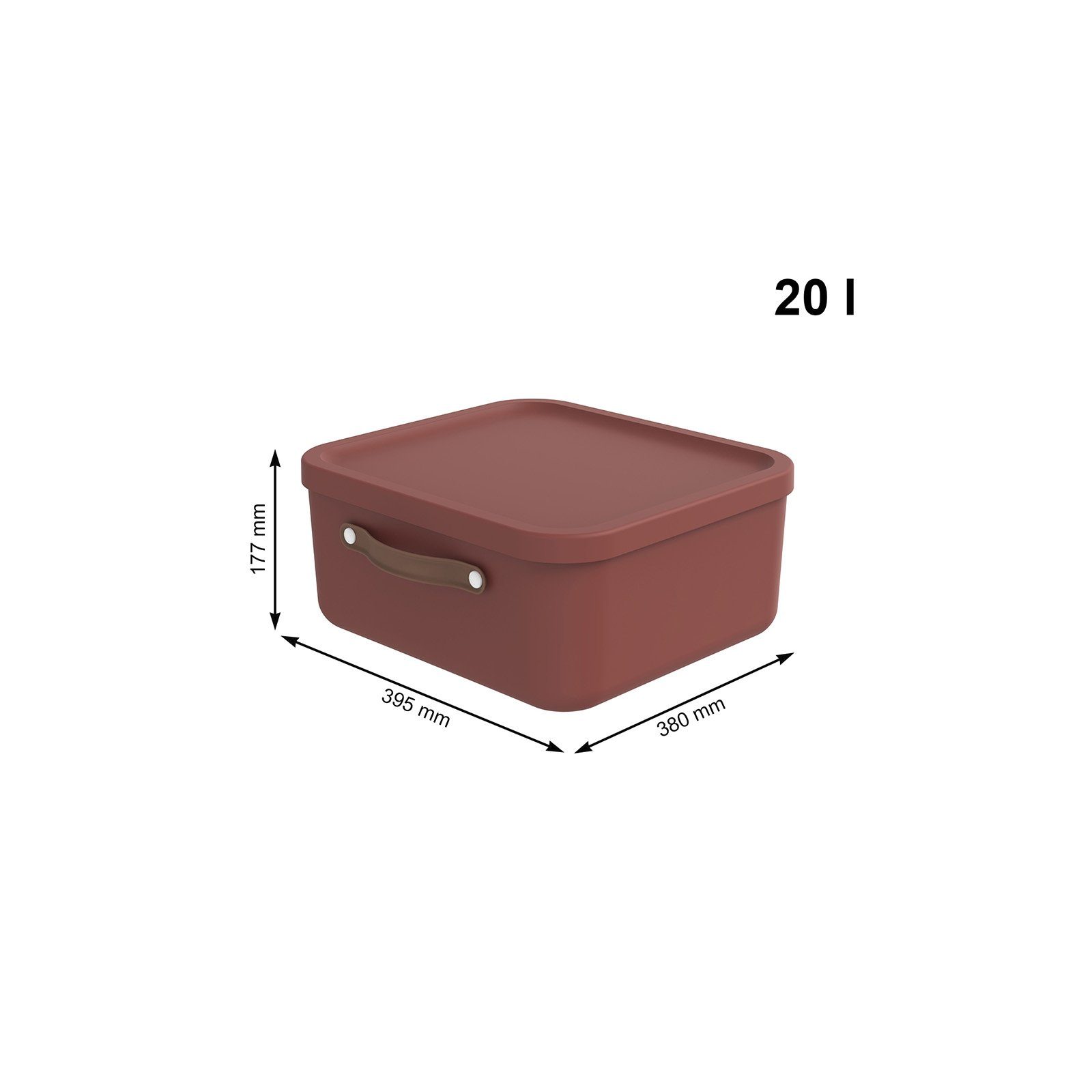 ROTHO Aufbewahrungsbox 2er-Set Kiste mit Deckel günstig online kaufen