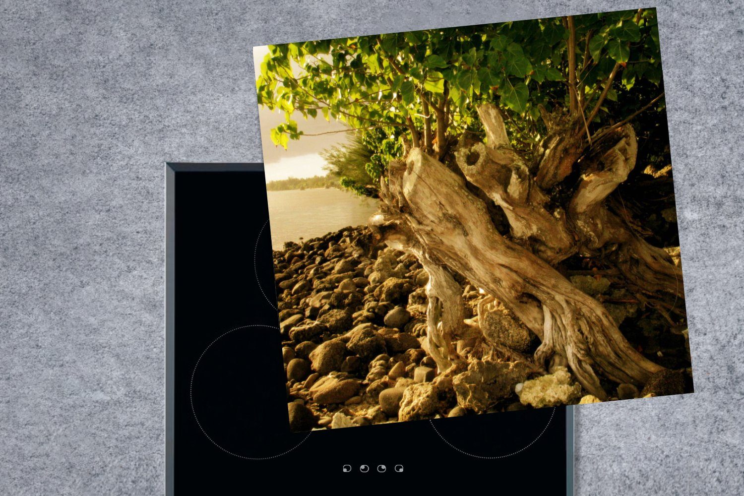 für küche tlg), Insel Mo'orea, Vinyl, neuem 78x78 (1 der Herdblende-/Abdeckplatte Arbeitsplatte Baum MuchoWow Leben cm, auf Ein gefällter Ceranfeldabdeckung, mit