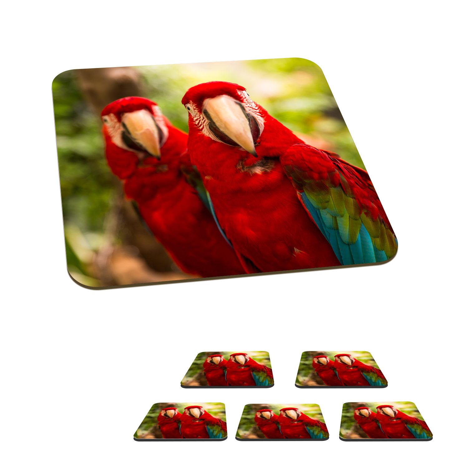 MuchoWow Glasuntersetzer Papageien - Vögel - Dschungel, Zubehör für Gläser, 6-tlg., Glasuntersetzer, Tischuntersetzer, Korkuntersetzer, Untersetzer, Tasse