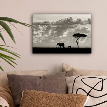 OneMillionCanvasses® Leinwandbild Wolke - Elefant - Schwarz - Weiß - Natur, (1 St), Wandbild Leinwandbilder, Aufhängefertig, Wanddeko, 30x20 cm