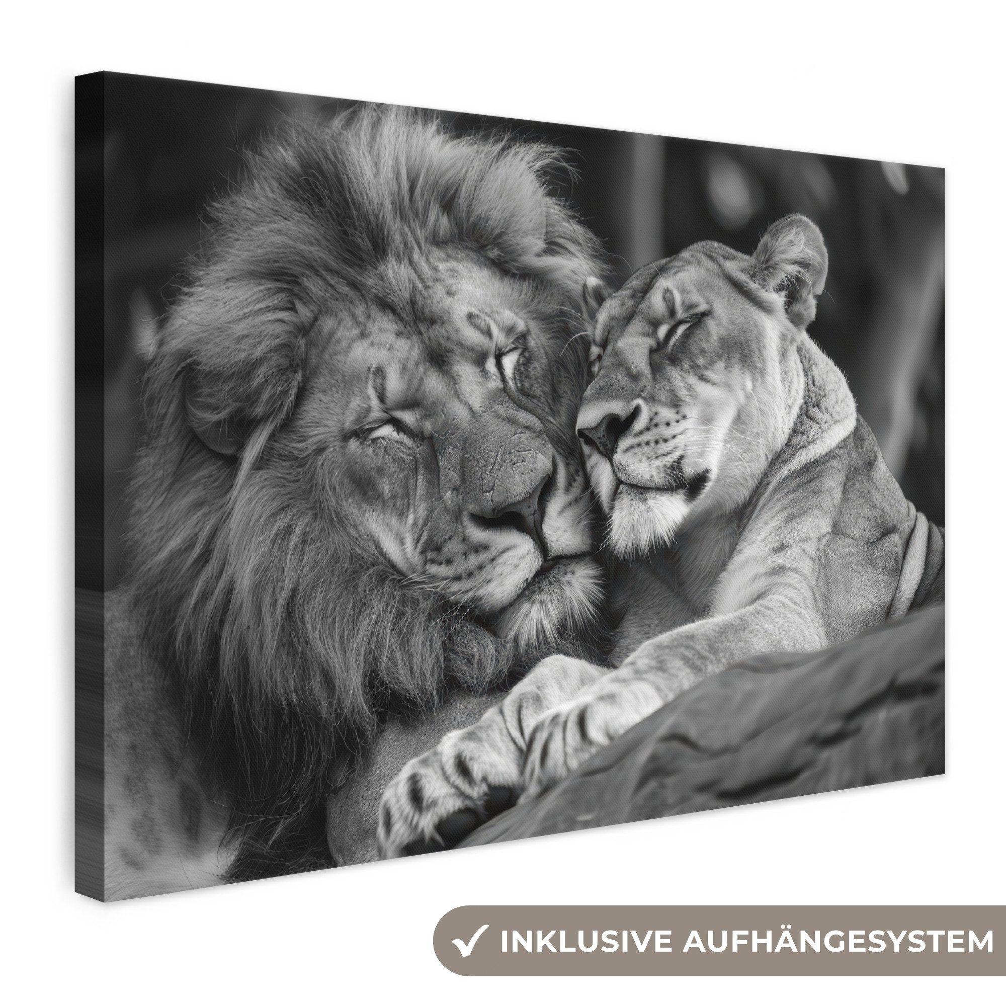OneMillionCanvasses® Leinwandbild Löwen - Tiere - Schwarz - Weiß - Löwe, Fotodruck (1 St), Leinwand Bilder Klein, Wand Dekoration Aesthetic 30x20 cm
