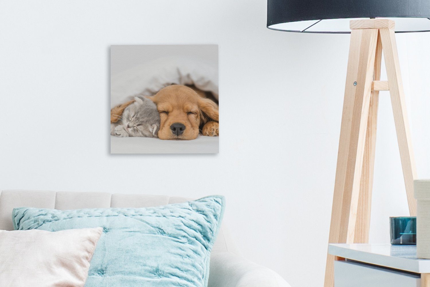Haustiere - Katze Leinwand für - - Leinwandbild (1 OneMillionCanvasses® Decke, St), Wohnzimmer Schlafzimmer Bilder Hund