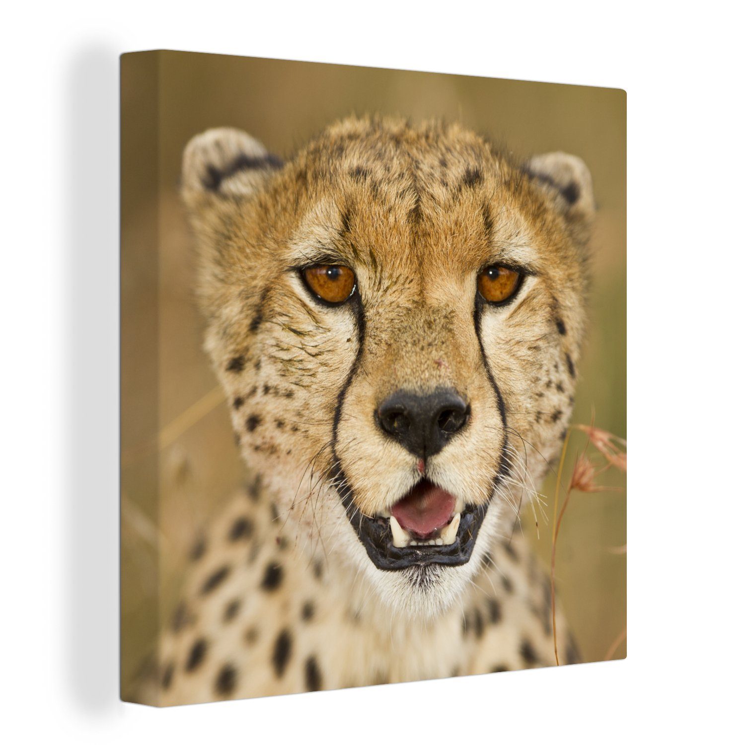 OneMillionCanvasses® Leinwandbild Leopard - Kopf - Pflanzen, (1 St), Leinwand Bilder für Wohnzimmer Schlafzimmer bunt