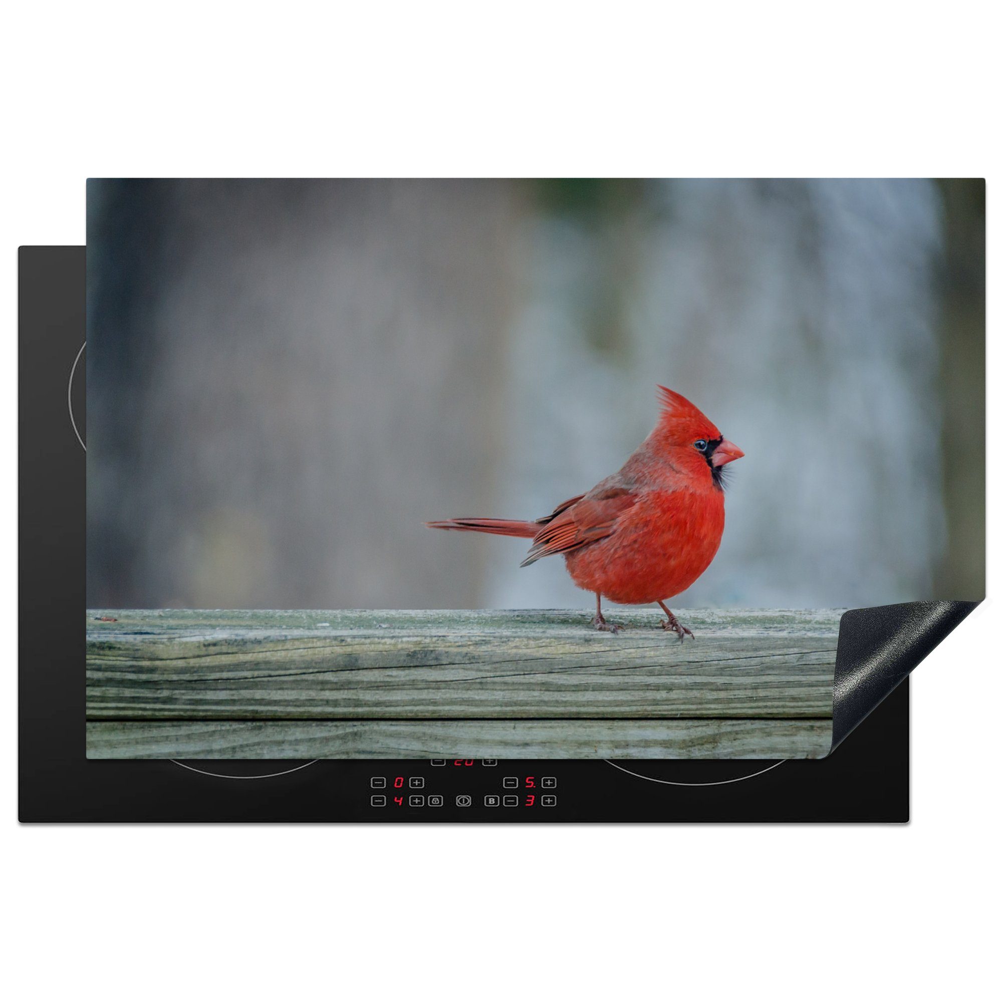 MuchoWow Herdblende-/Abdeckplatte Ein roter Kardinal sitzt auf einem Geländer, Vinyl, (1 tlg), 81x52 cm, Induktionskochfeld Schutz für die küche, Ceranfeldabdeckung