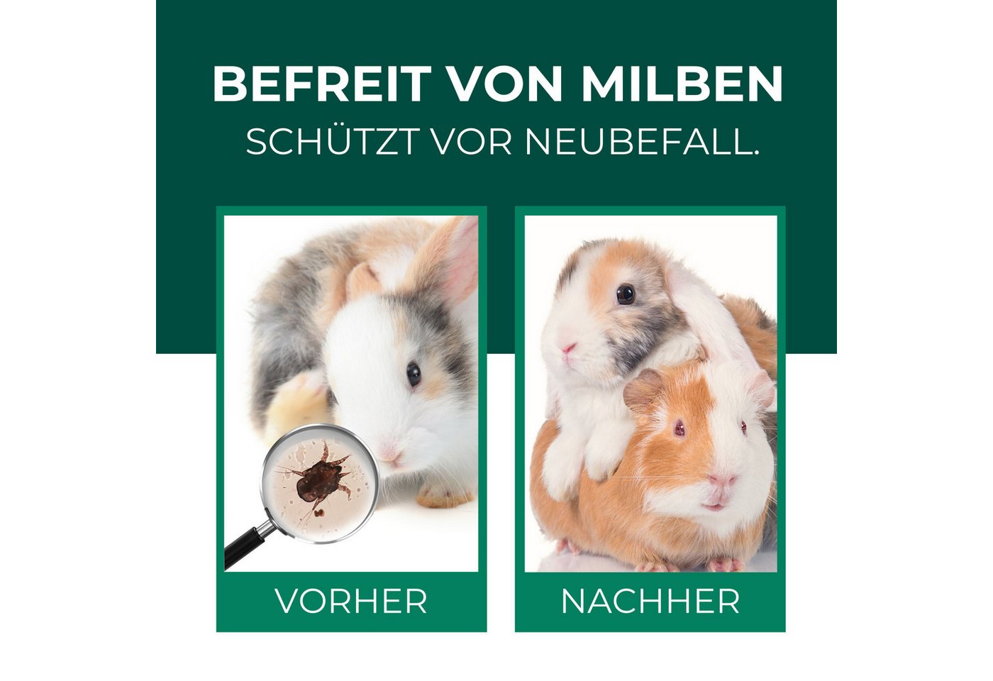 Thumbnail - Silberkraft Insektenspray Silberkraft Milbenspray Hase/Kaninchen, effektiver Schutz, Repellent, 500 ml, 2-St., Kontakt- ...