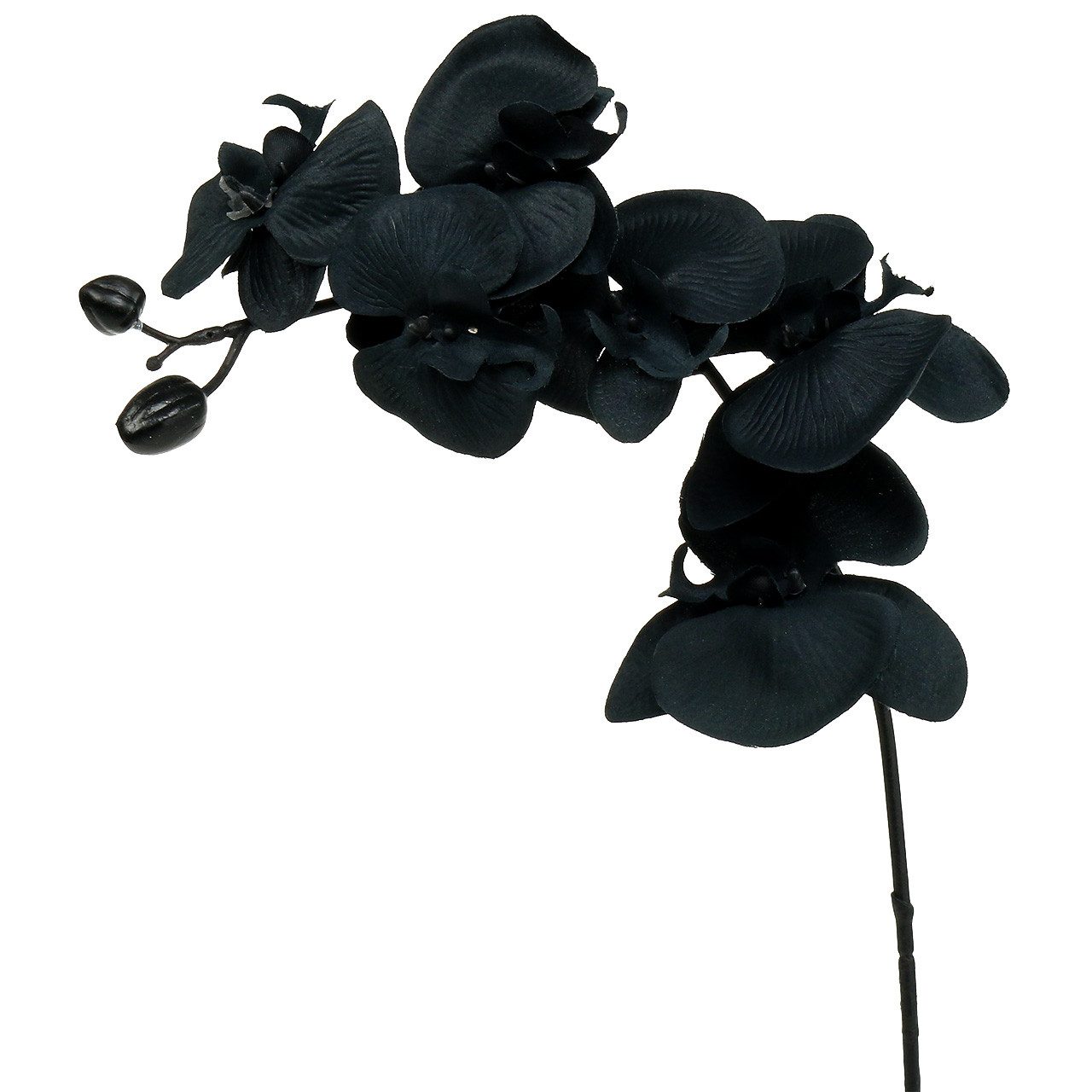 Kunstorchidee Elegante Deko-Orchidee für vielseitige Gestaltungsprojekte, Florists Products, Höhe 1 cm
