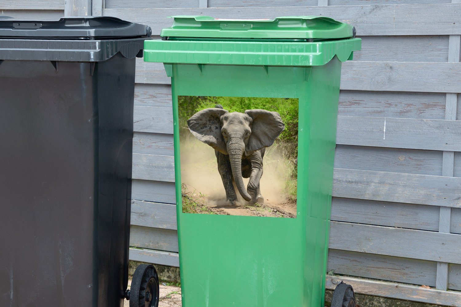 Laufender St), Mülltonne, Abfalbehälter (1 Elefant Container, MuchoWow Mülleimer-aufkleber, Wandsticker Sticker,