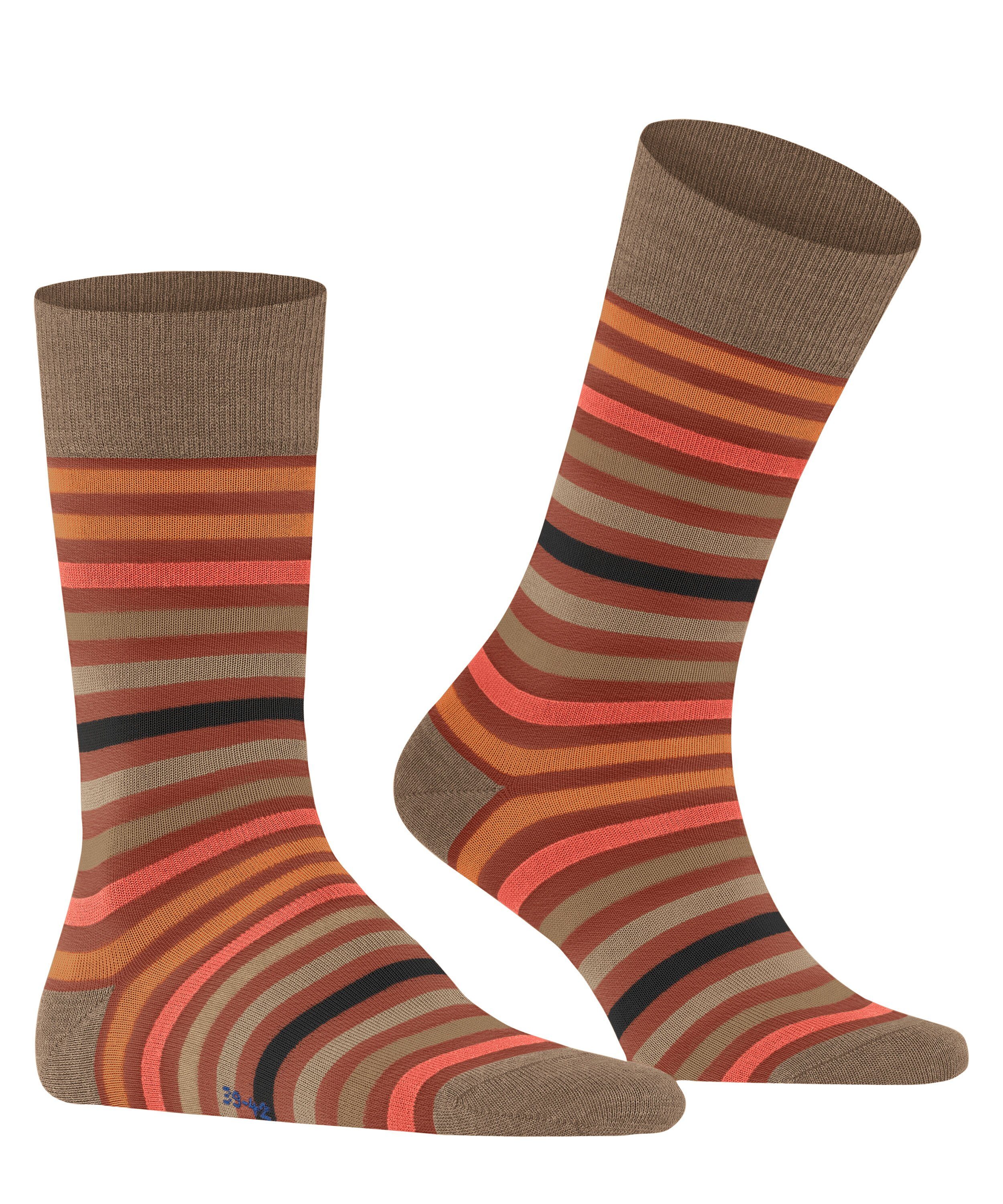 Stripe FALKE royale Tinted port (1-Paar) Socken (8855)