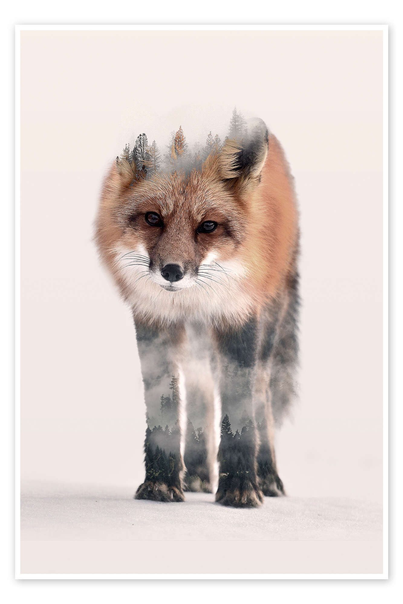 Posterlounge Wandbild Hondo Kitsune, Peg Essert, erhältlich als Poster, Leinwandbild, Wandsticker oder Acrylglasbild
